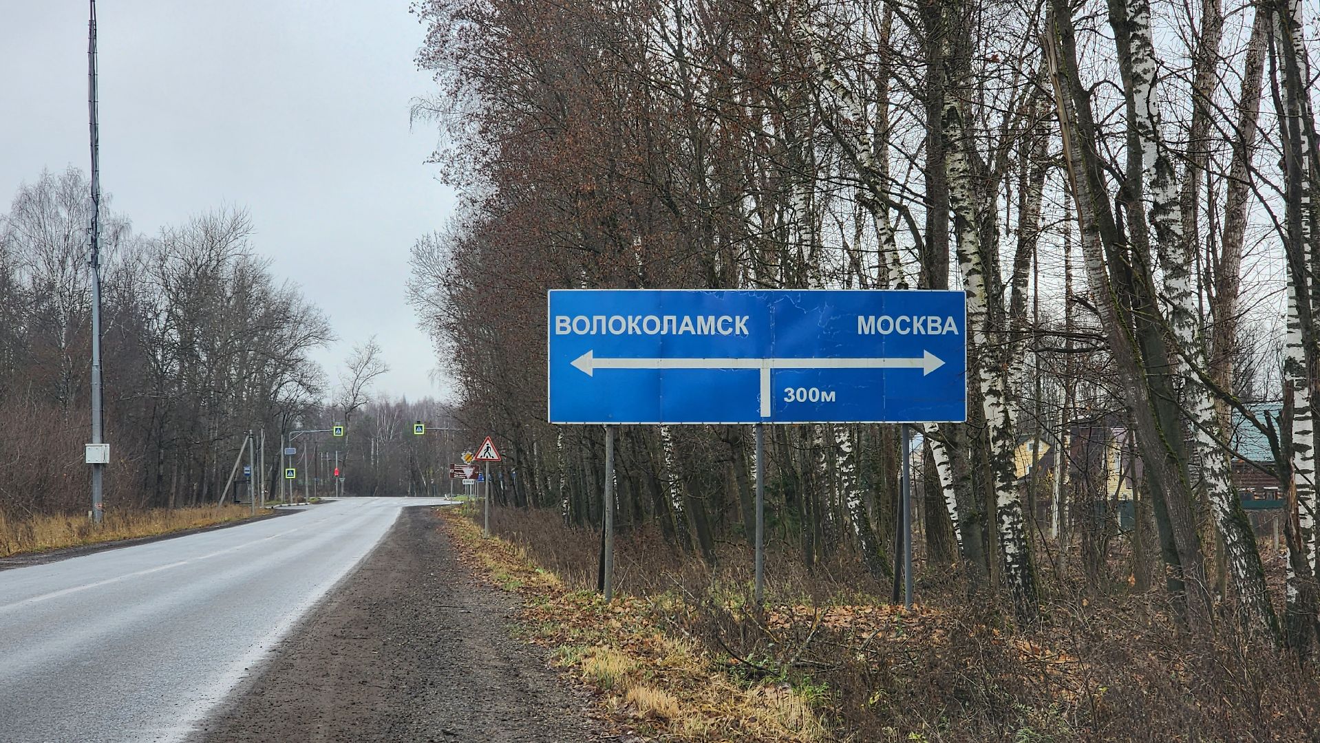 истра, аварийные деревья,