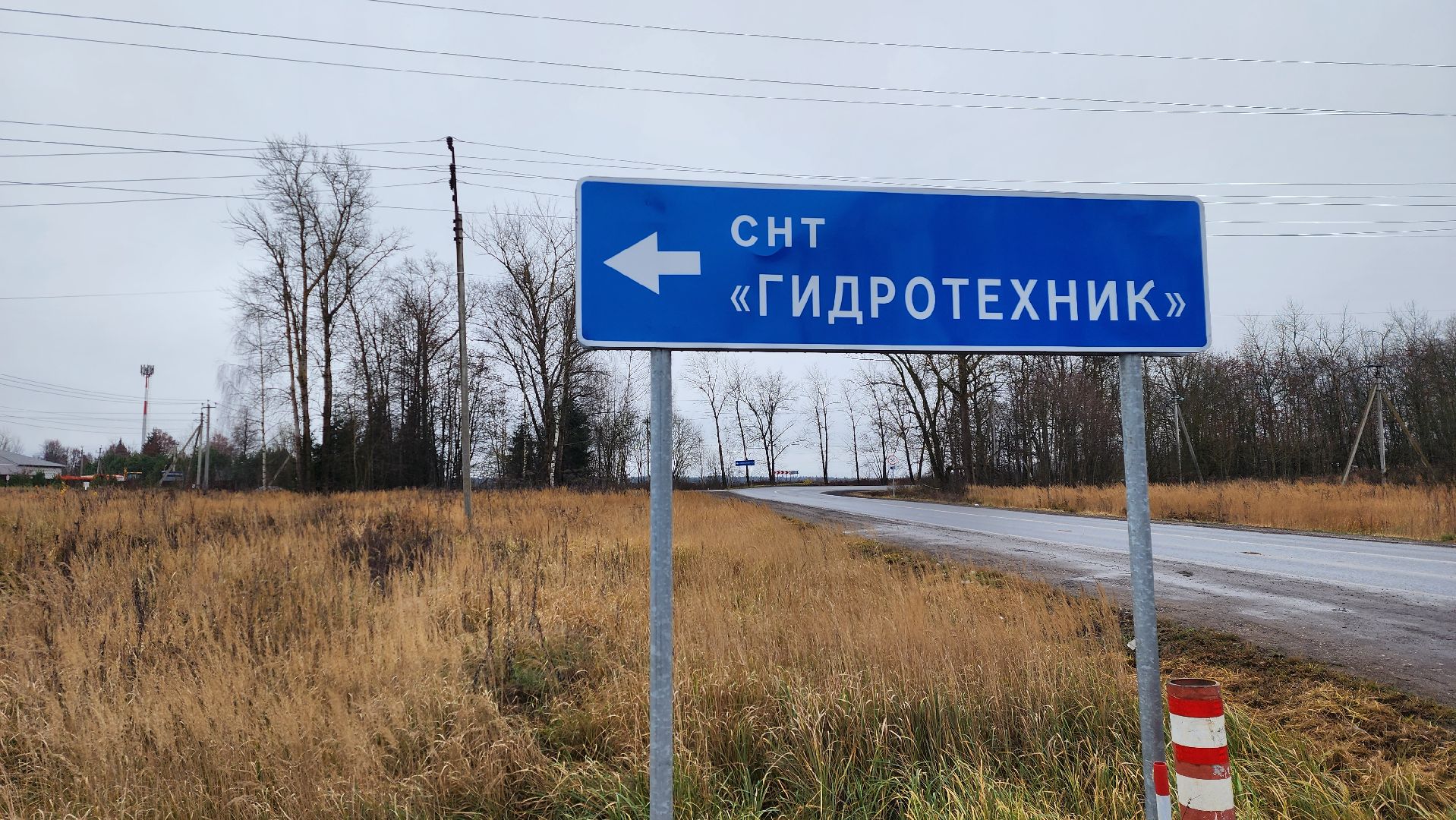 истра, аварийные деревья,