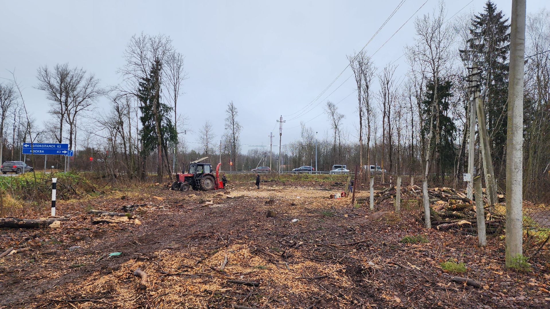 истра, аварийные деревья,