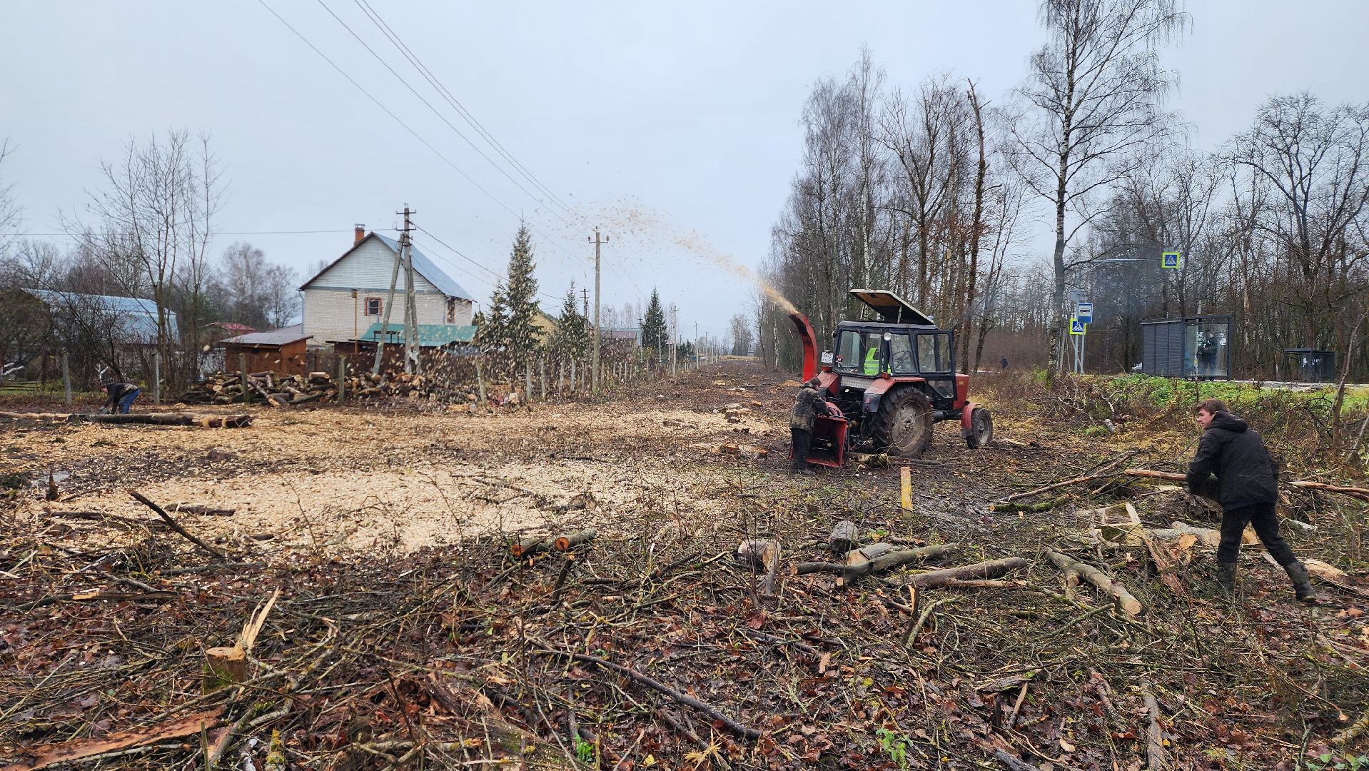 истра, аварийные деревья,