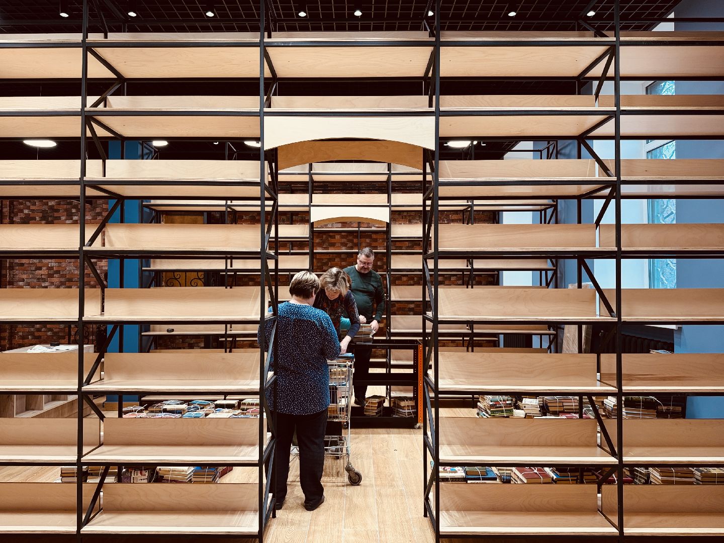 раменское, библиотека, модельная библиотека, капитальный ремонт,