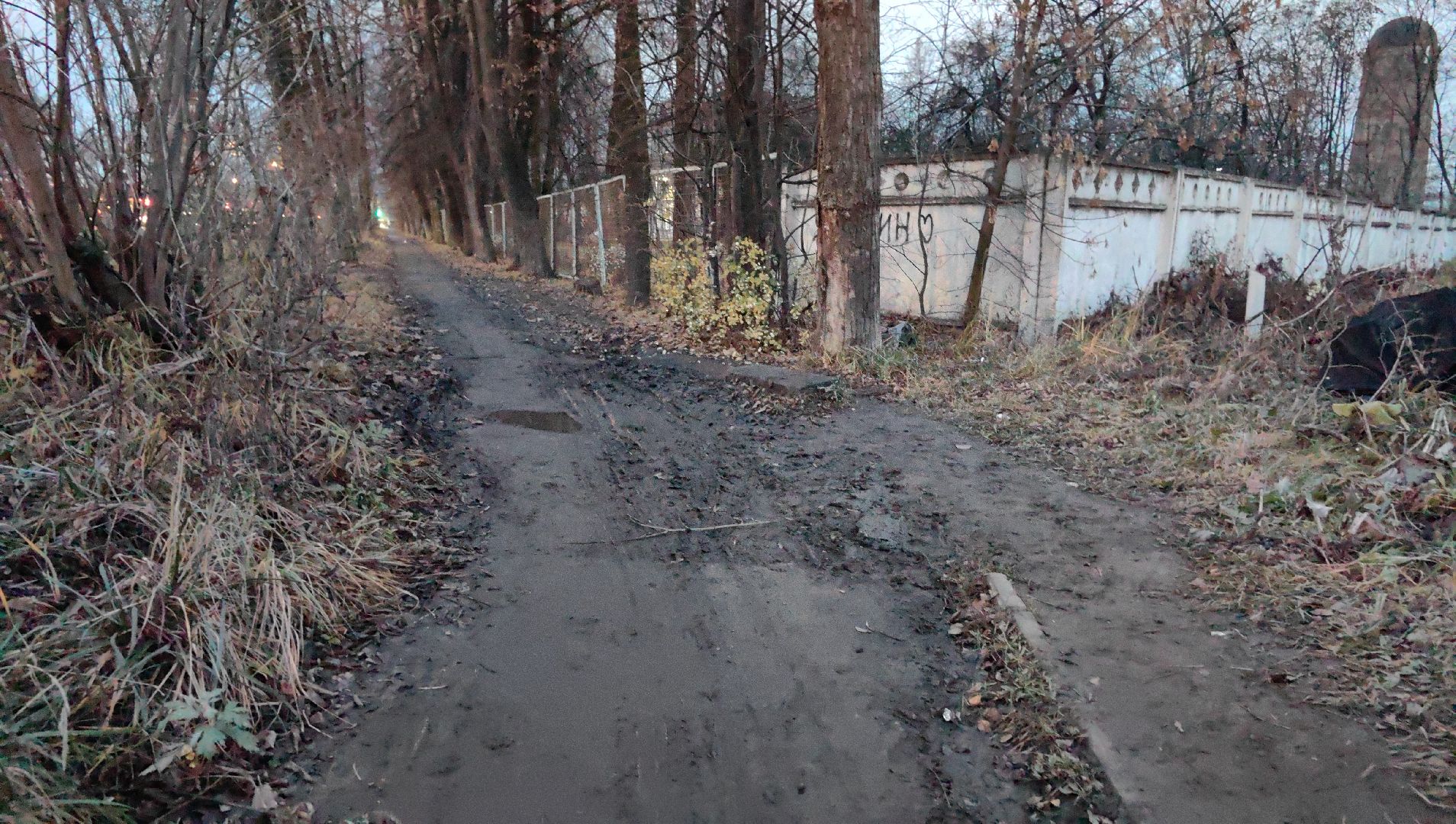 тропа, тротуар, школа, безопасность, администрация, пешеход,