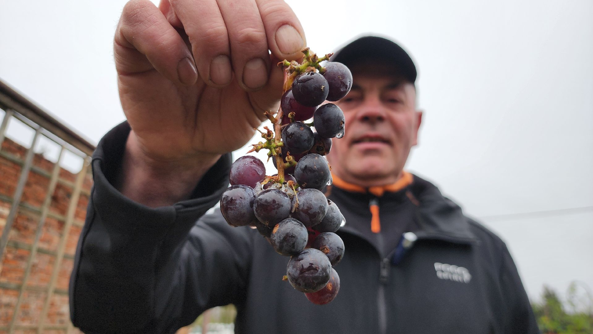 руза, туризм, конный клуб, станица,