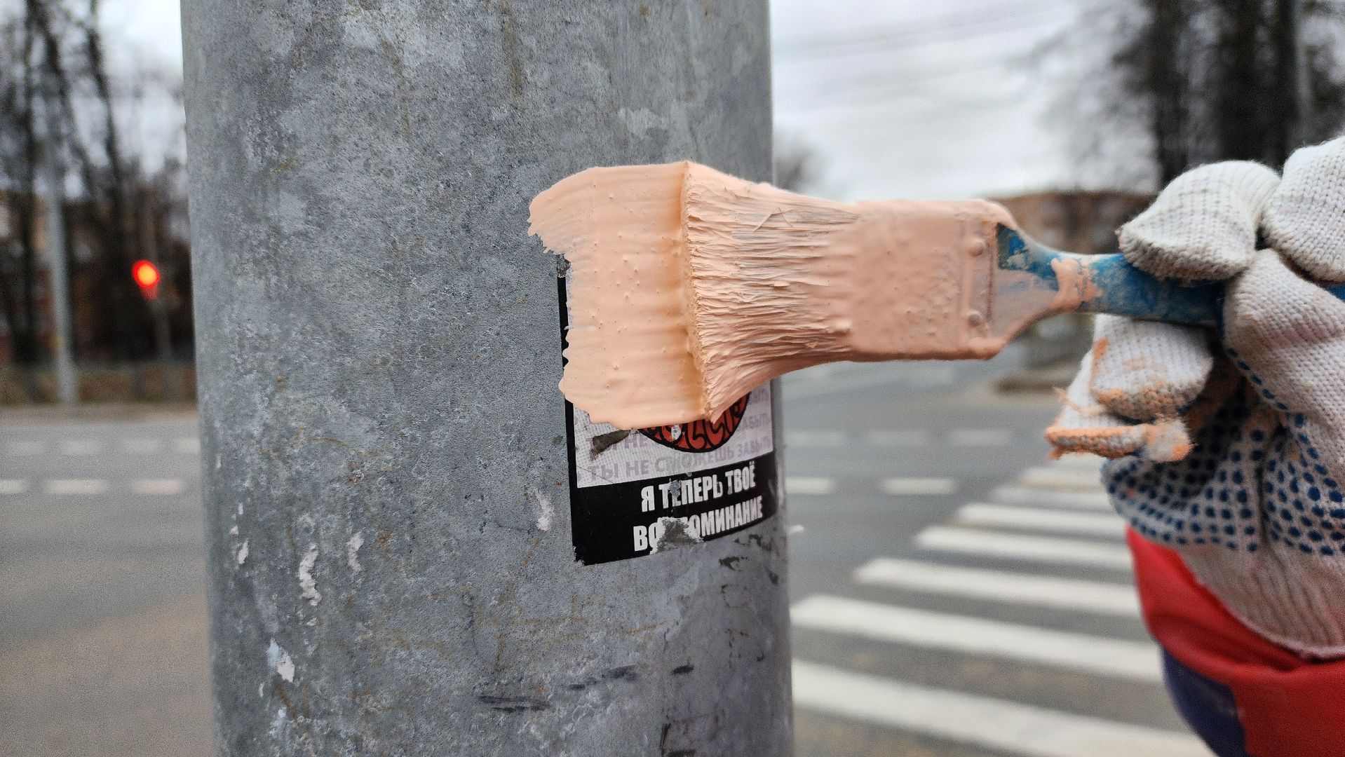 Клин, волонтеры, чистое поколение, благотворительность,