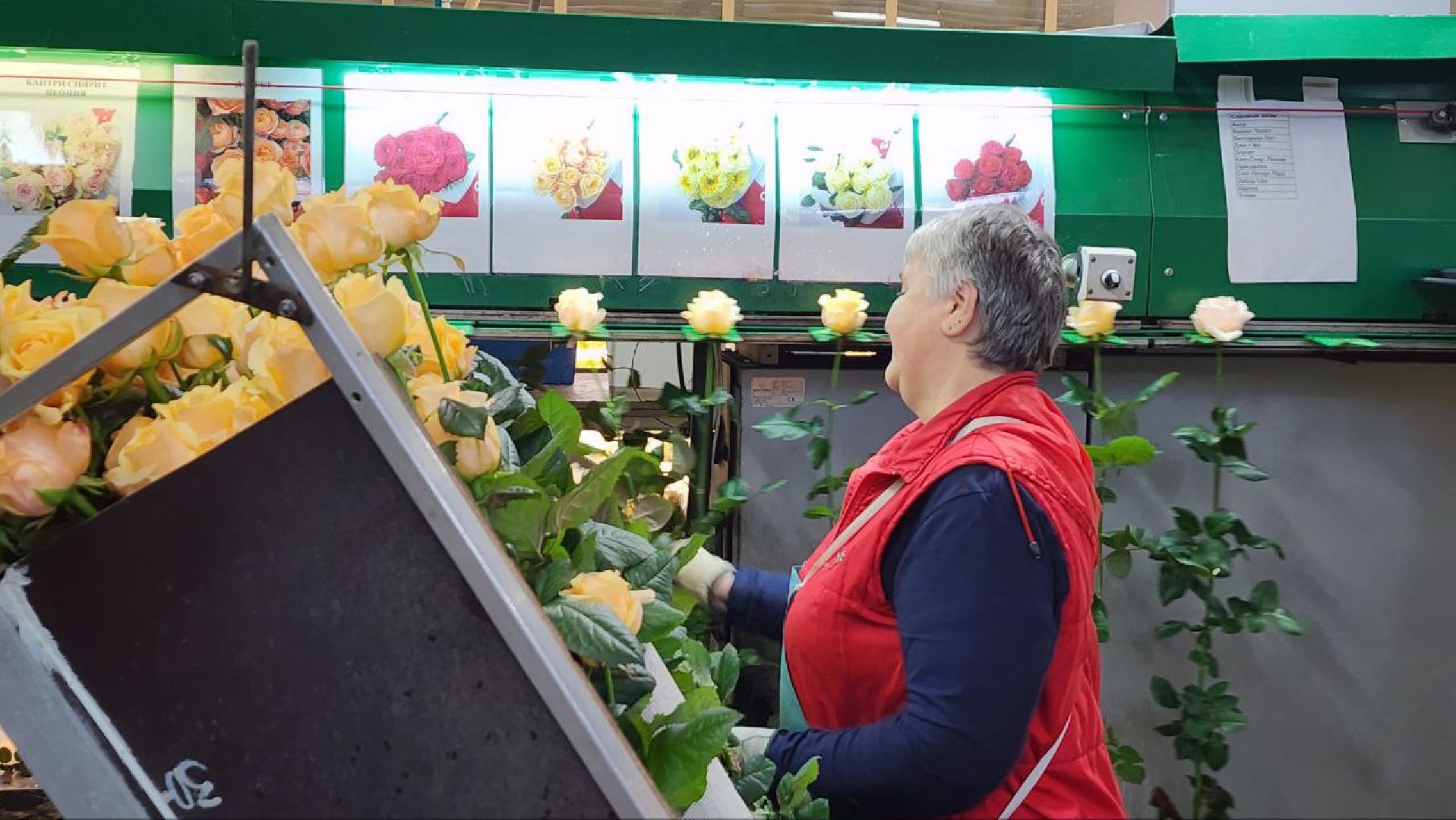 Дмитров, ТК Подосинки, Розы, Минсельхоз,