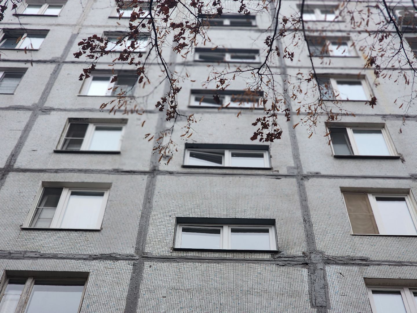 королёв, выездная администрация в королеве , встреча власти с жителями ,