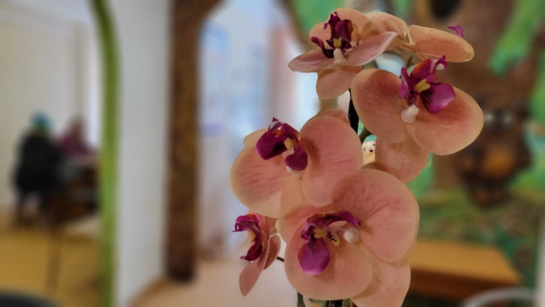 Красногорск