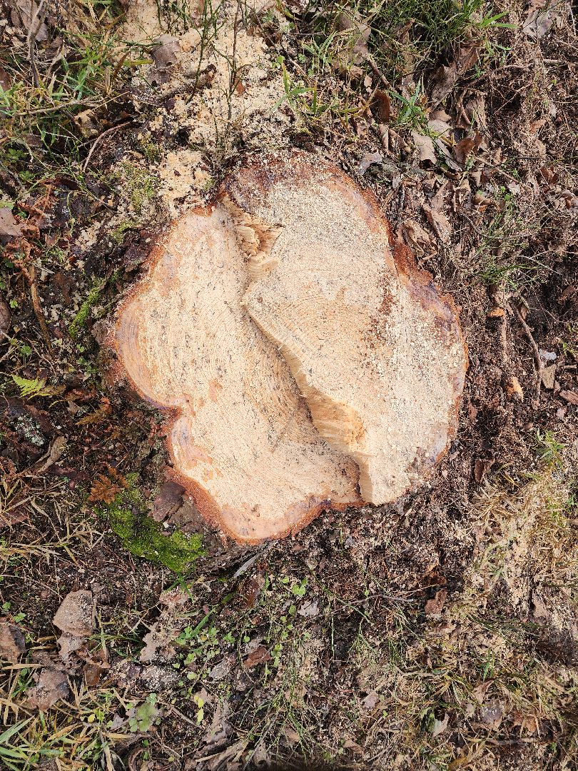 Егорьевск, Подмосковье, Московская область,