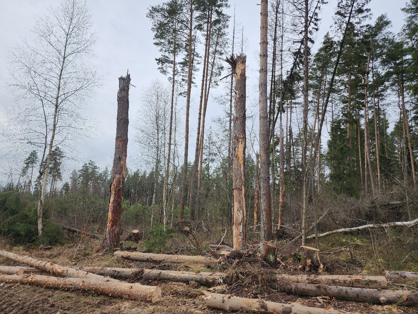 Егорьевск, Подмосковье, Московская область,
