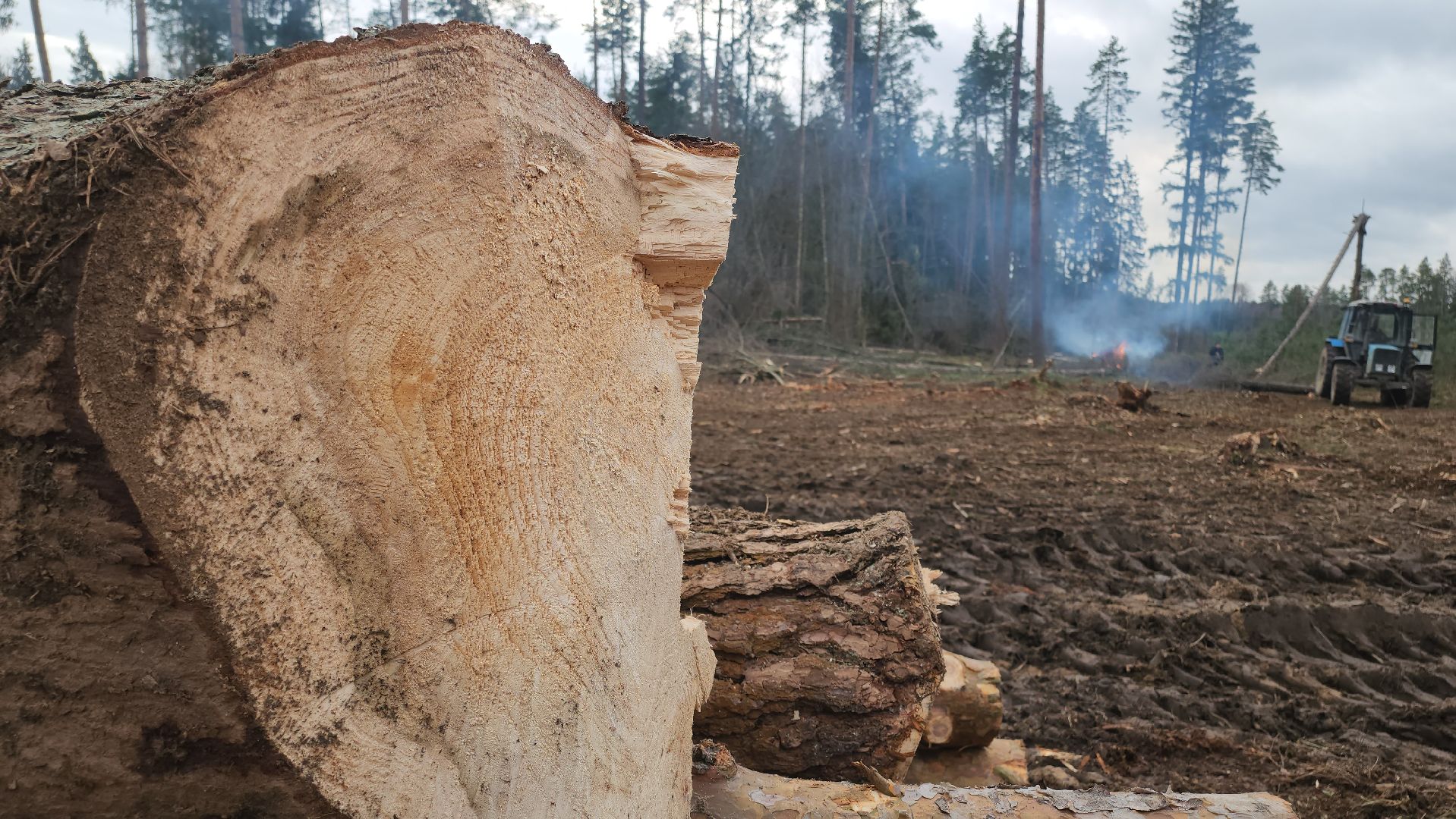 Егорьевск, Подмосковье, Московская область,