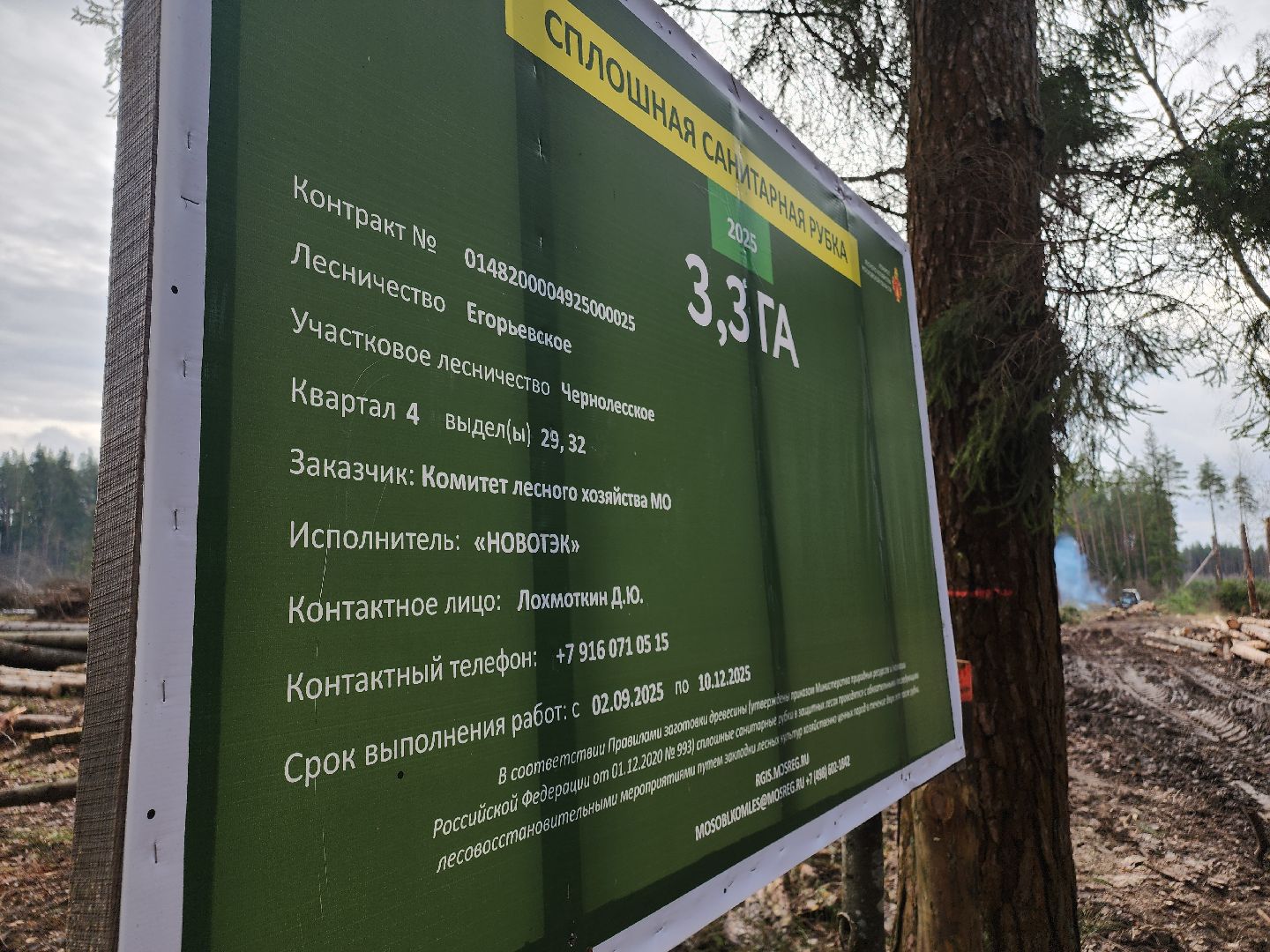 Егорьевск, Подмосковье, Московская область,