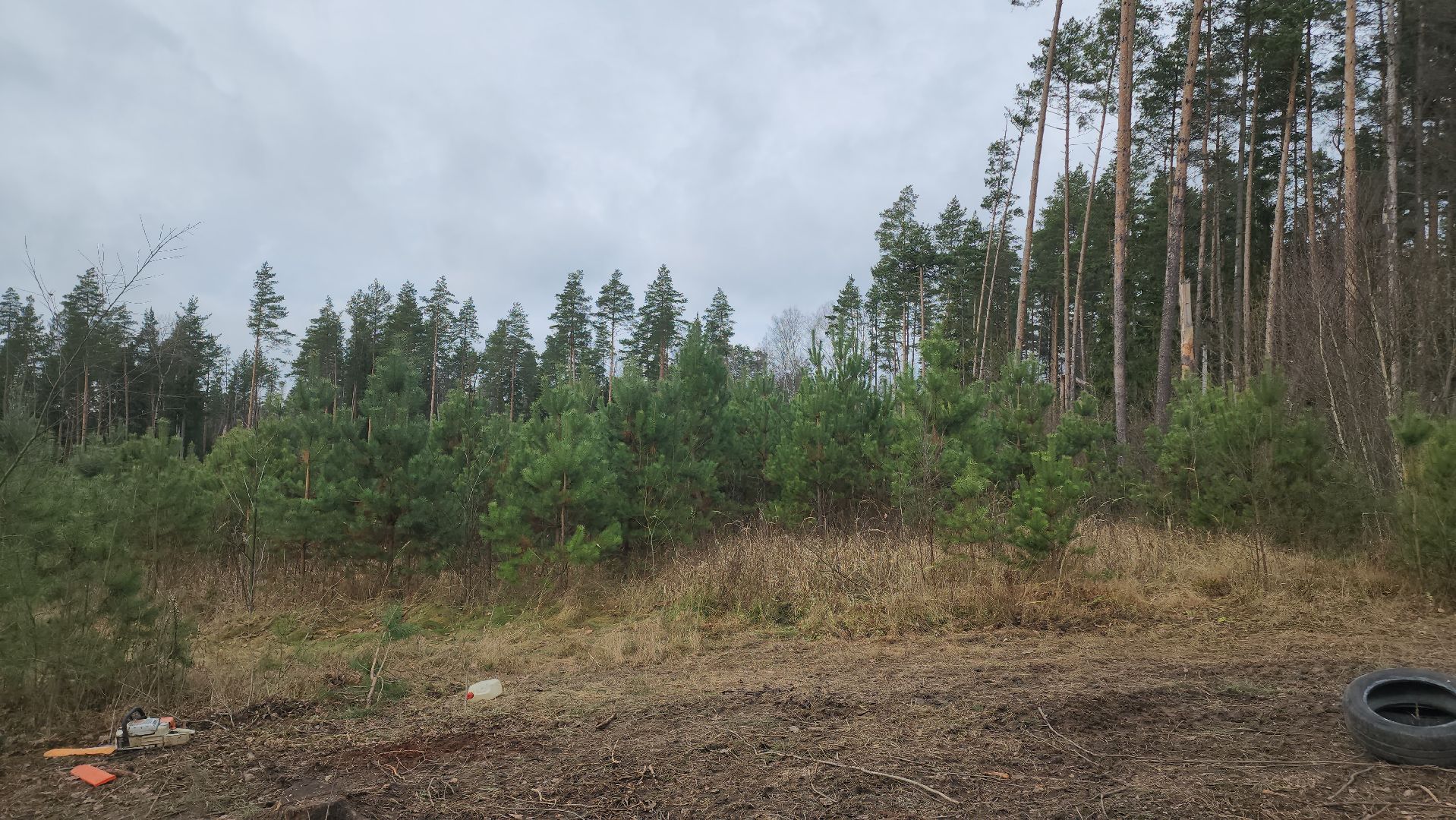 Егорьевск, Подмосковье, Московская область,