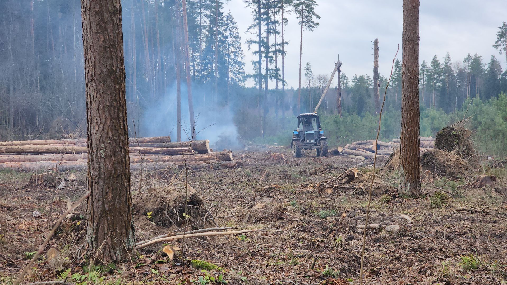 Егорьевск, Подмосковье, Московская область,