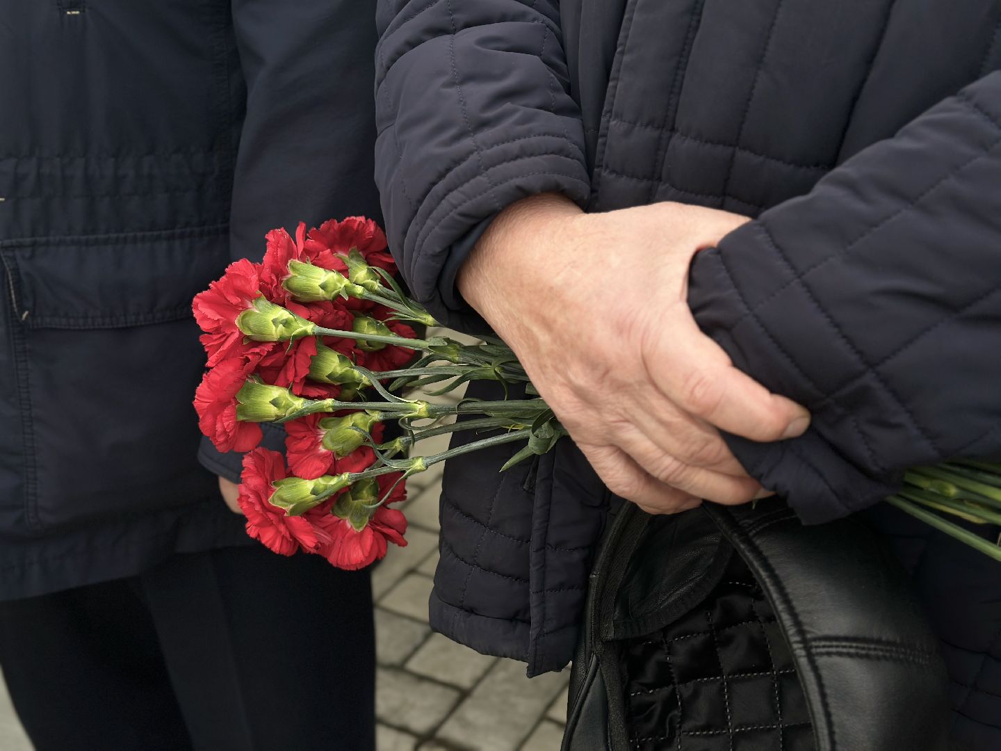 пушкинский городской округ, возложение цветов, открытие памятника,