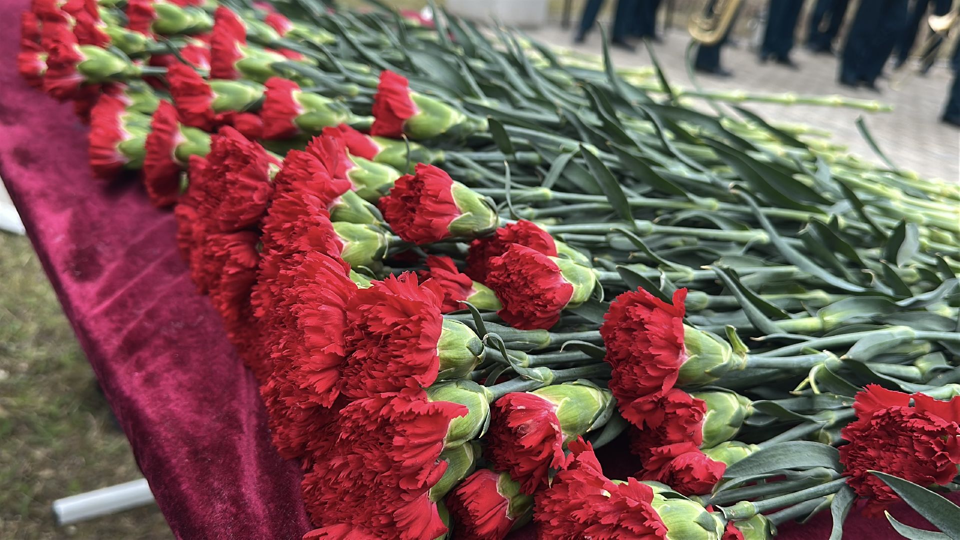 пушкинский городской округ, возложение цветов, открытие памятника,