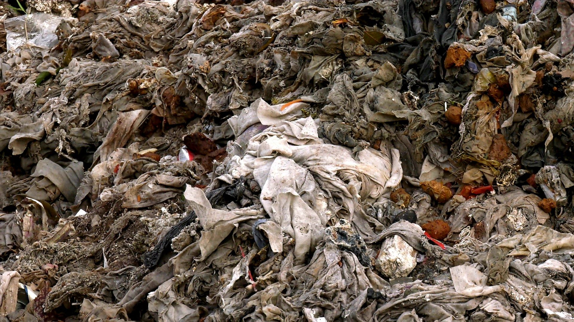 Егорьевск, Подмосковье, Московская область,