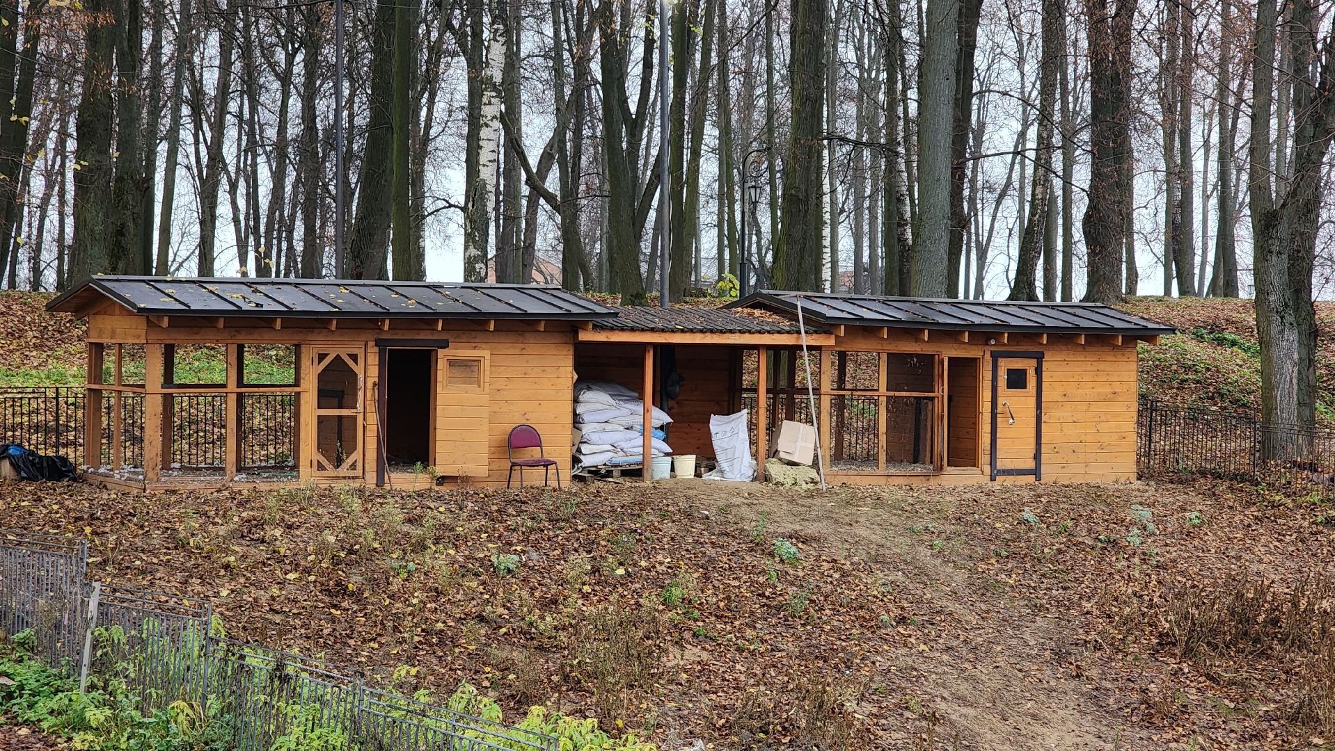 подмосковье, парки подмосковья, лебеди, лосино-петровский, долгопрудный,