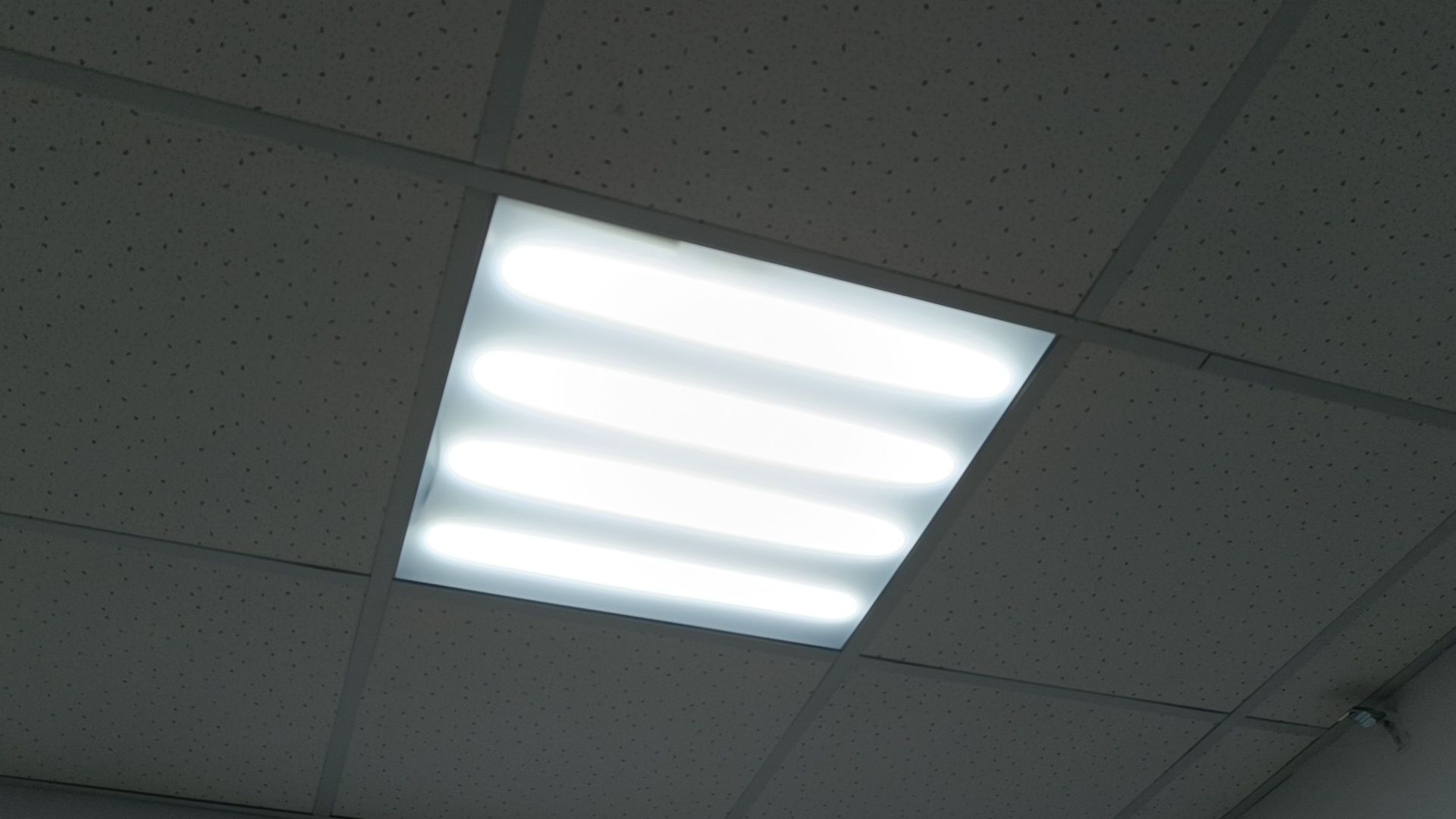 полиция , ремонт, лобня,