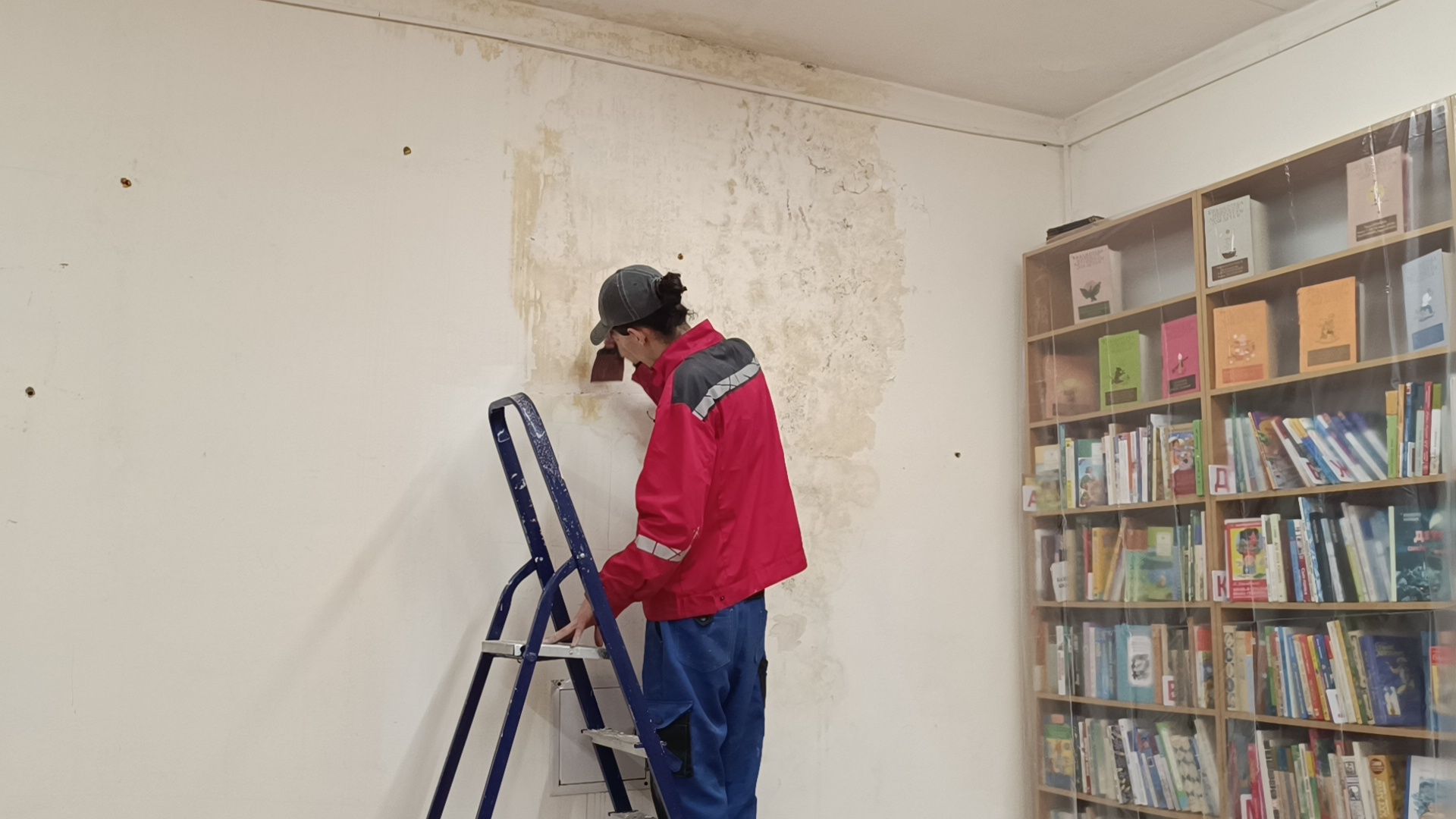 библиотека, ремонт, лобня,