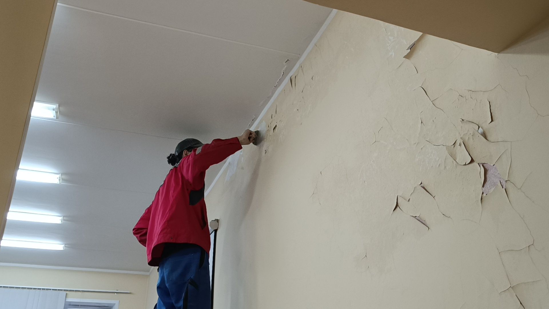 библиотека, ремонт, лобня,