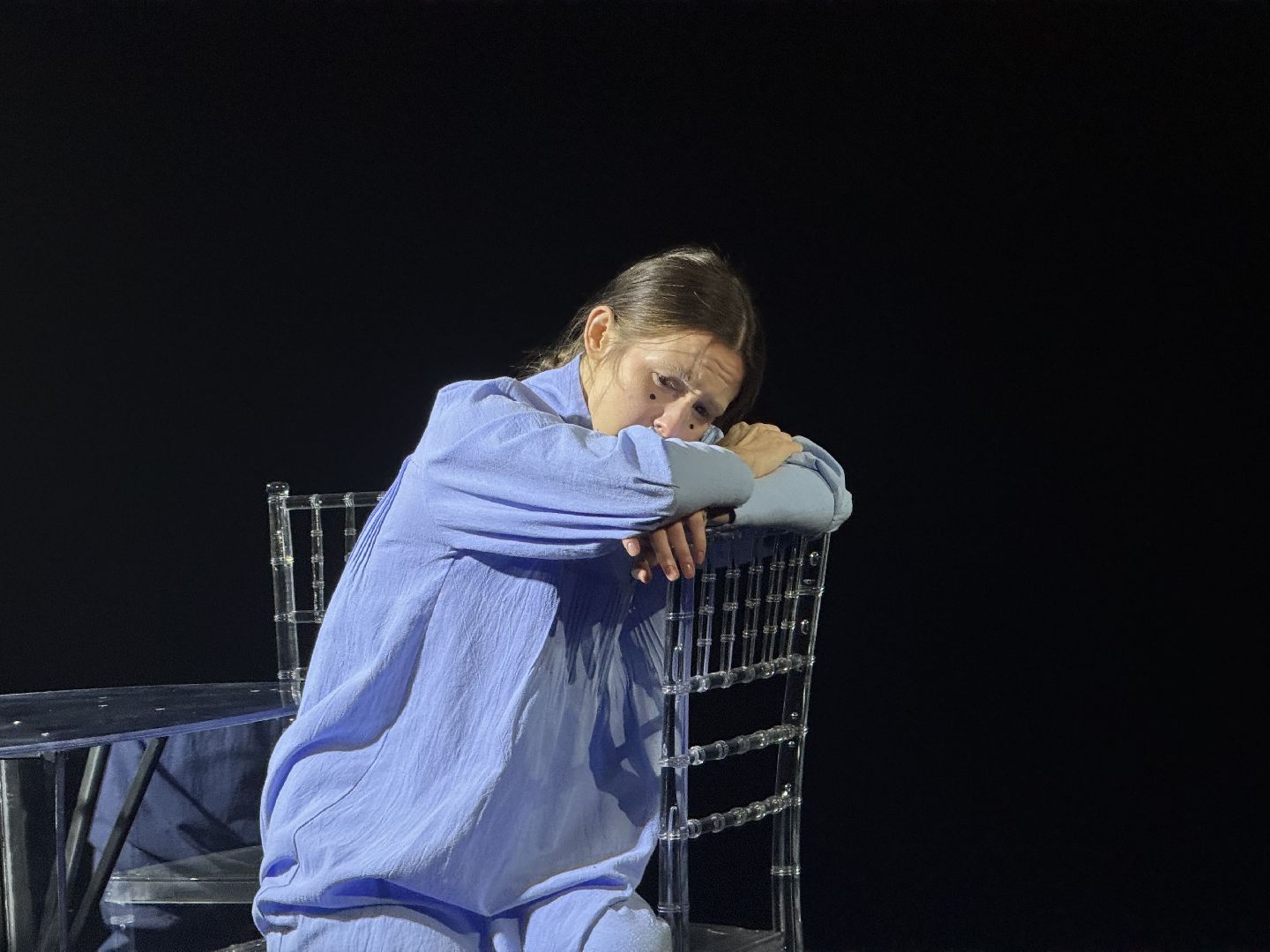 Сергиев Посад, Театральный ковчег в Дубраве, Стеклянный зверинец»,