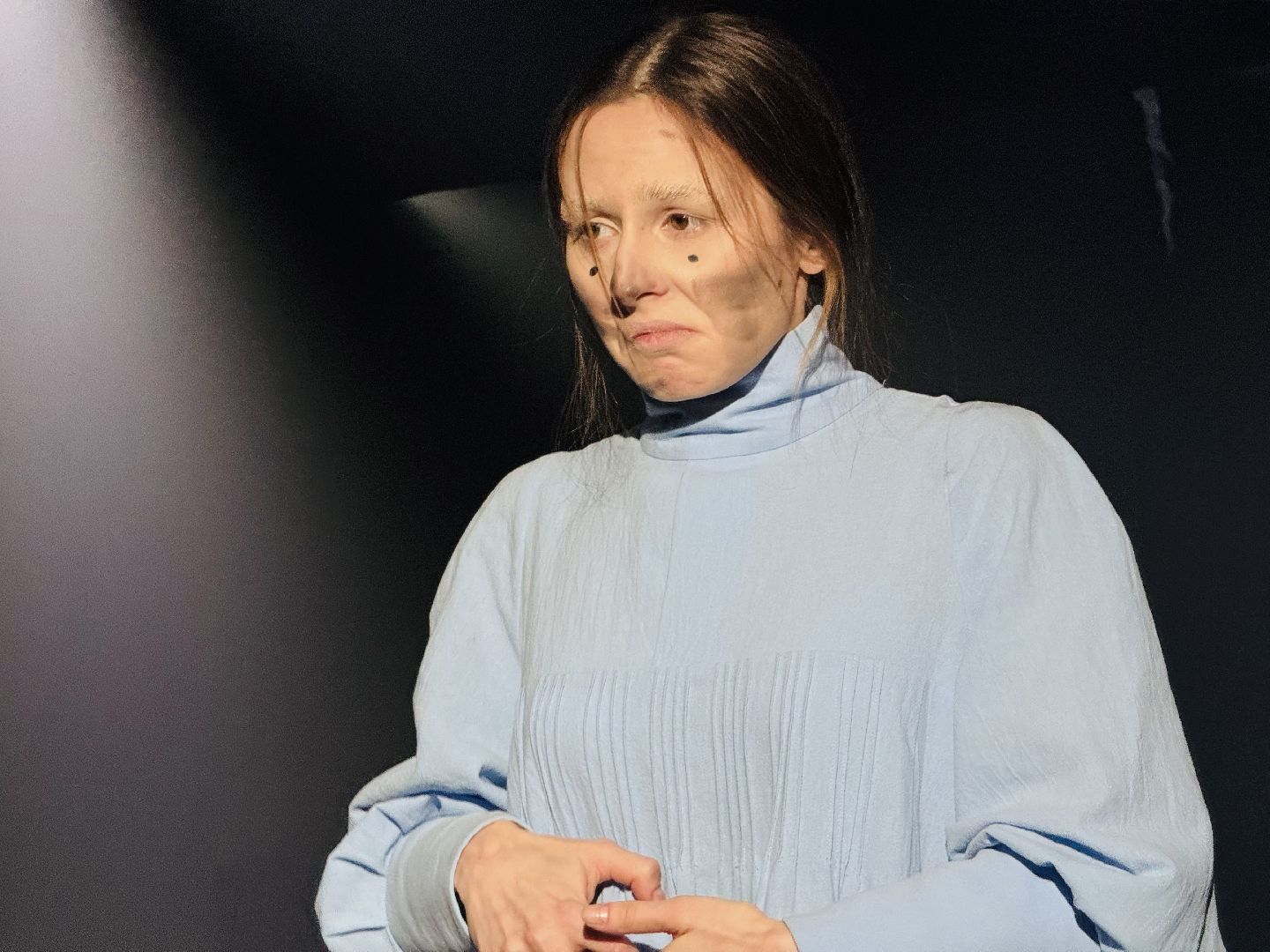 Сергиев Посад, Театральный ковчег в Дубраве, Стеклянный зверинец»,