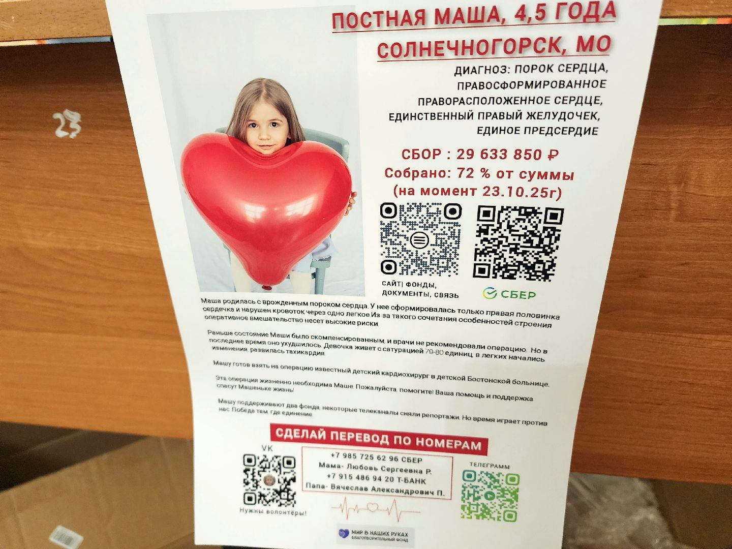 солнечногорск, маша постная, благотворительность, дети, сбор,