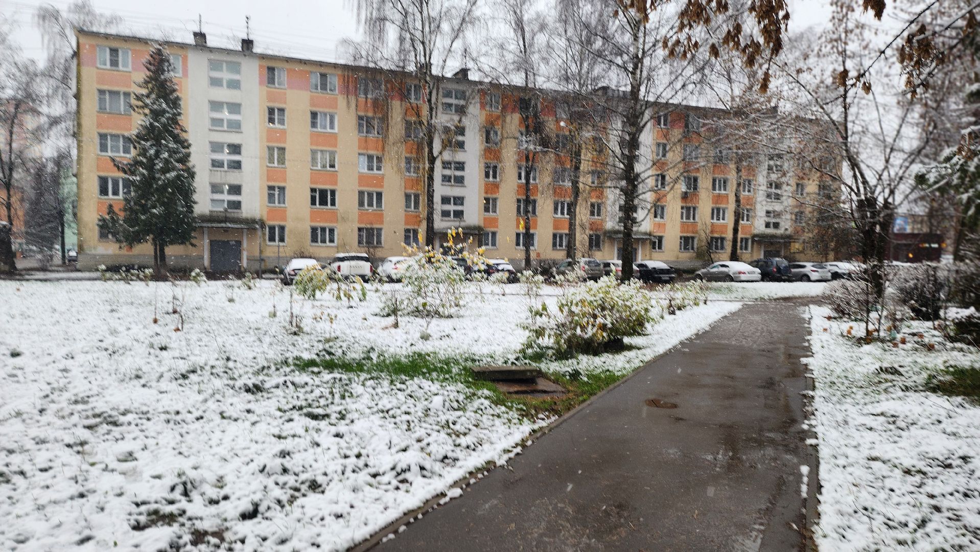 клин, снег, карла маркса,