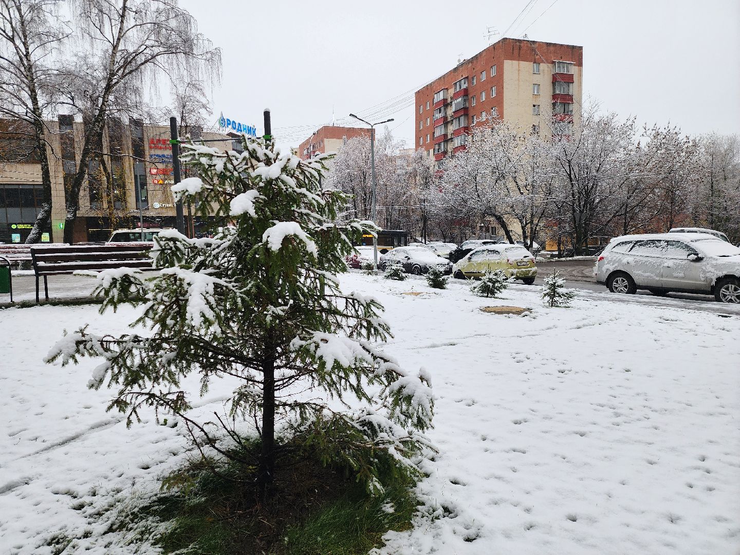 красногорск, первый снег,