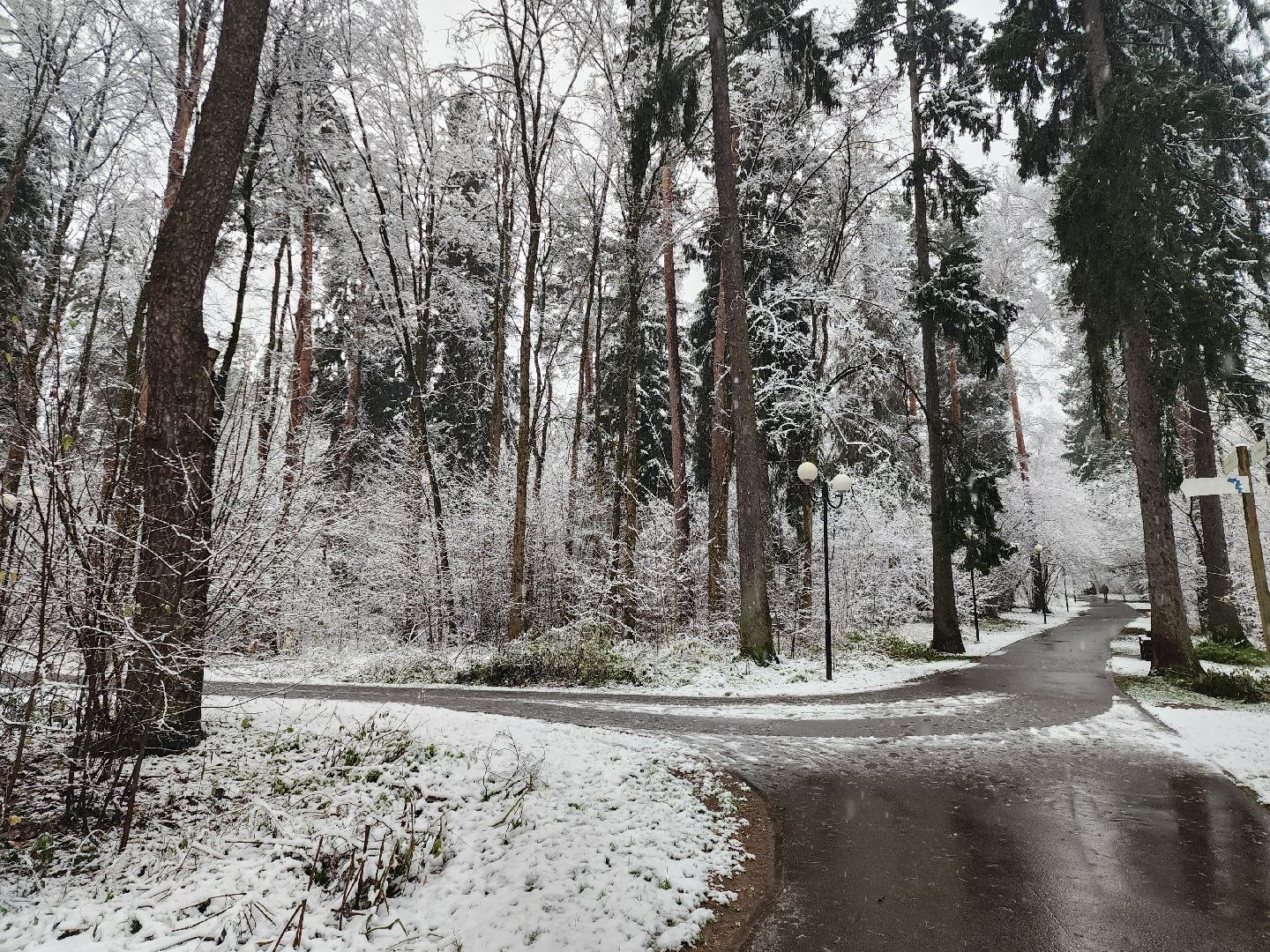 красногорск, первый снег,