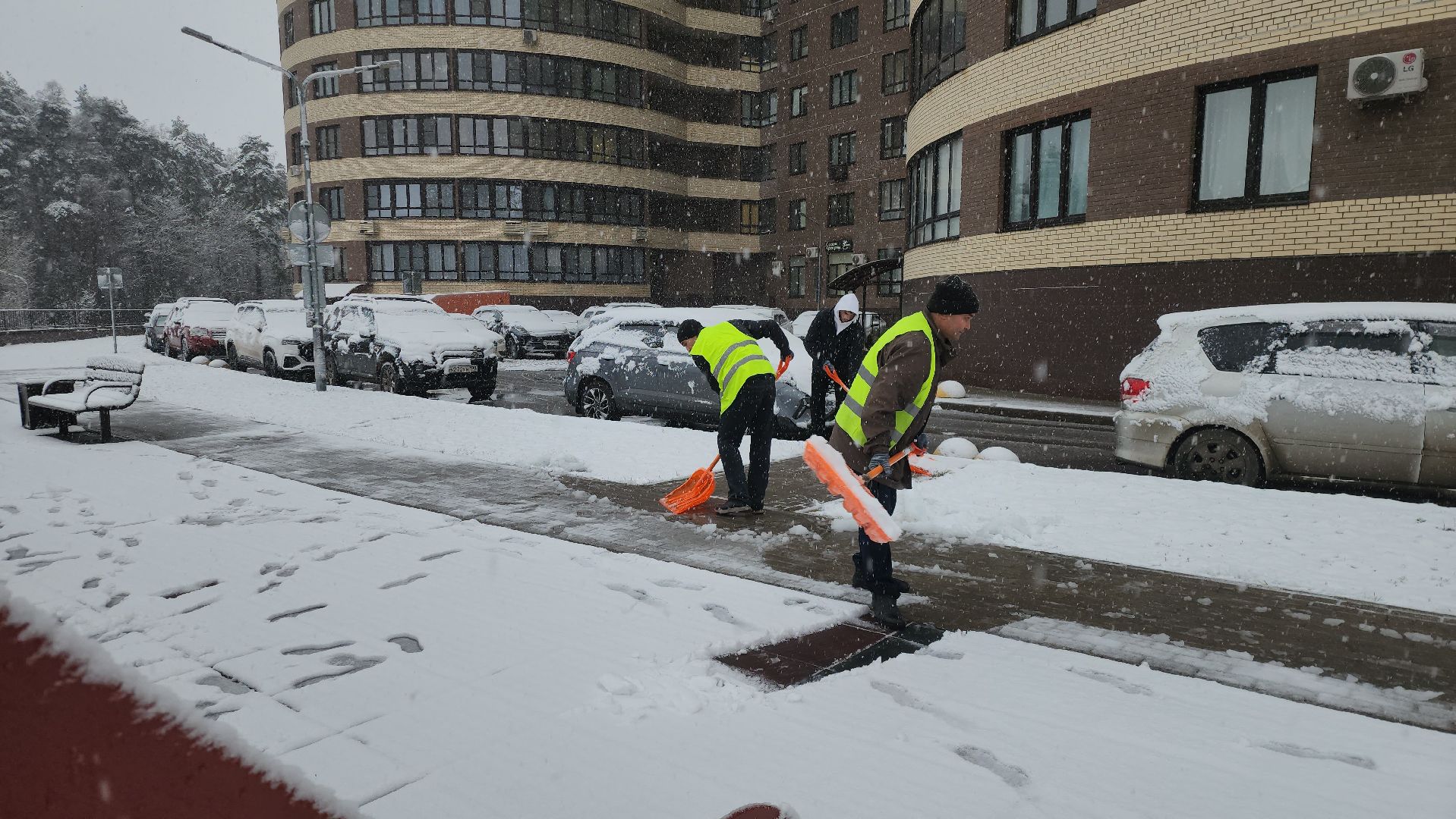 красногорск, первый снег,