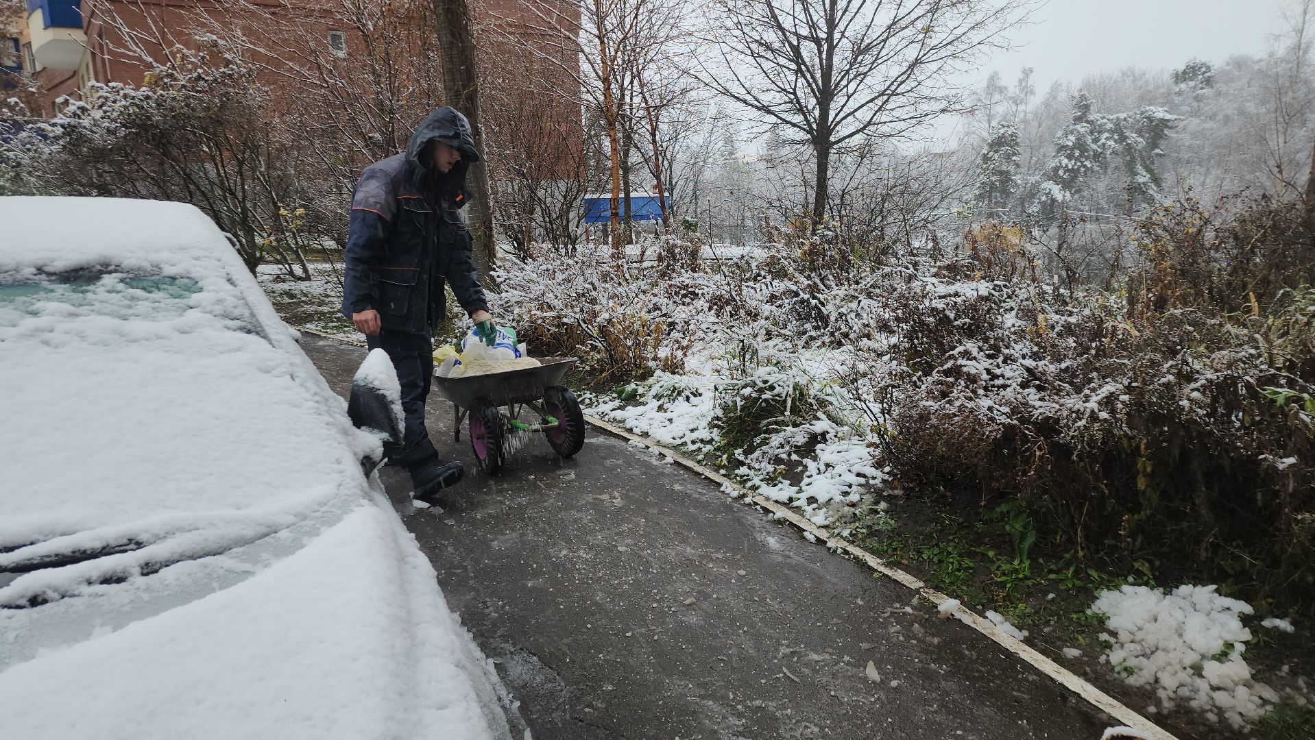 красногорск, первый снег,