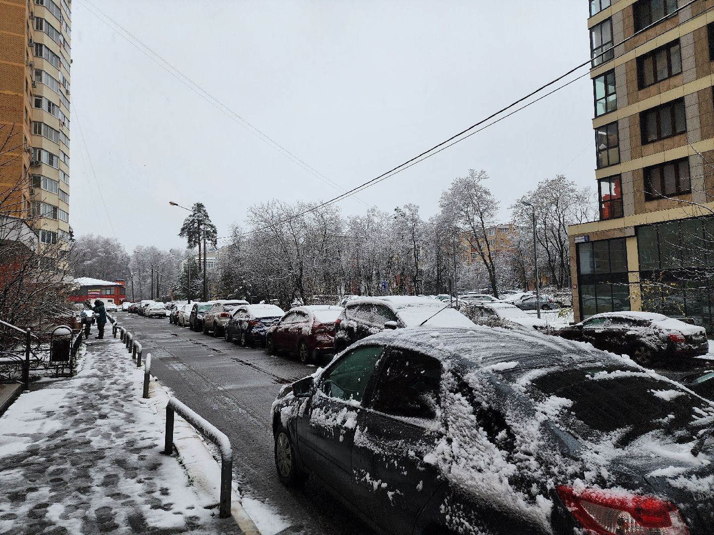 красногорск, первый снег,