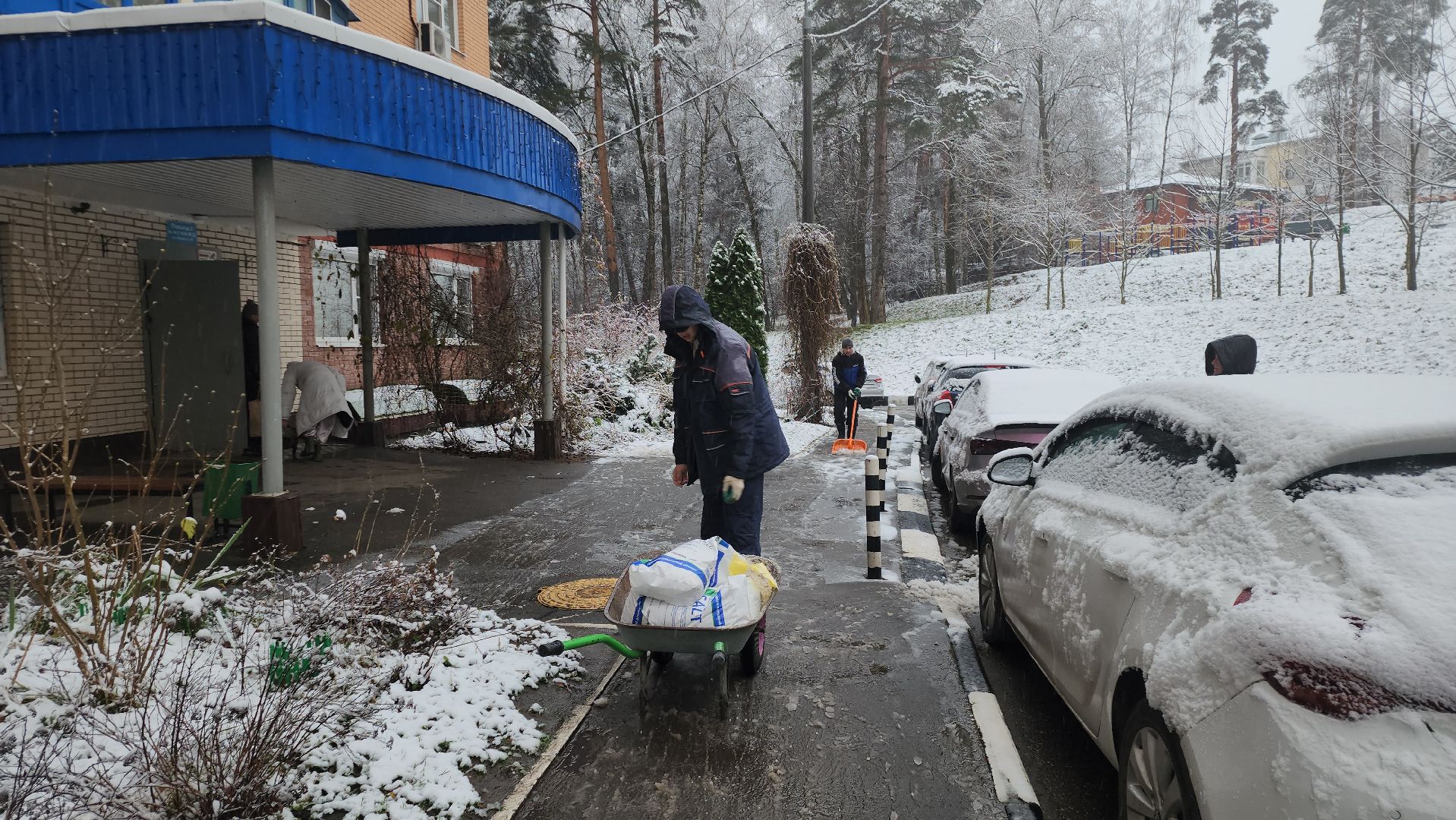 красногорск, первый снег,