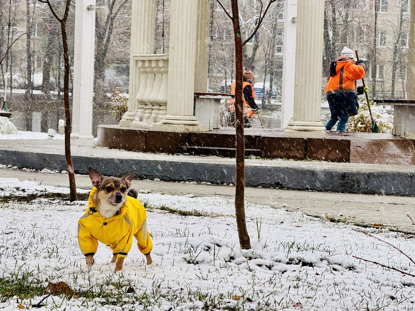 раменское, первый снег, уборка снега, коммунальные службы, обработка тротуаров,