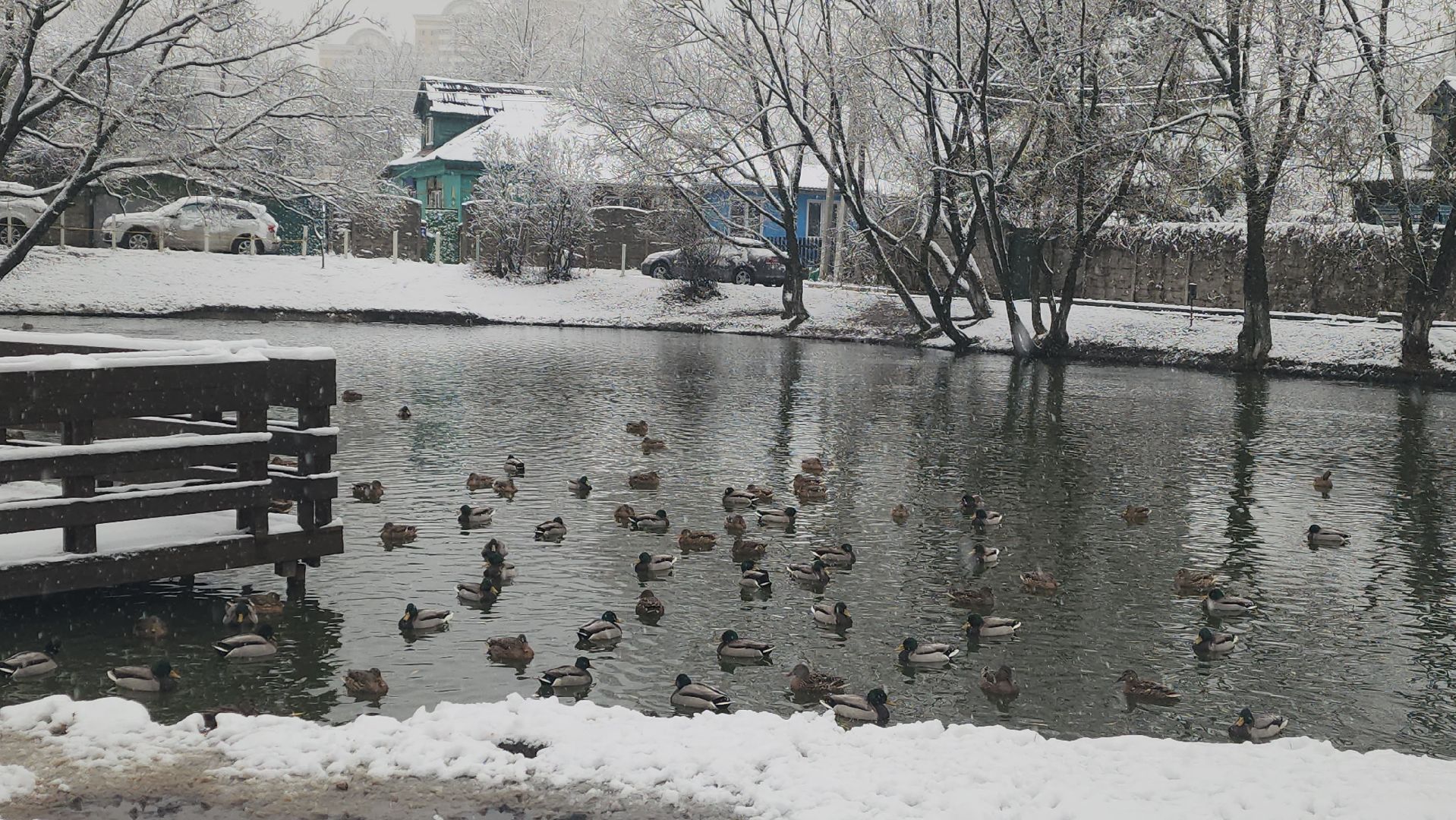 первый снег, уборка снега, красногорск,