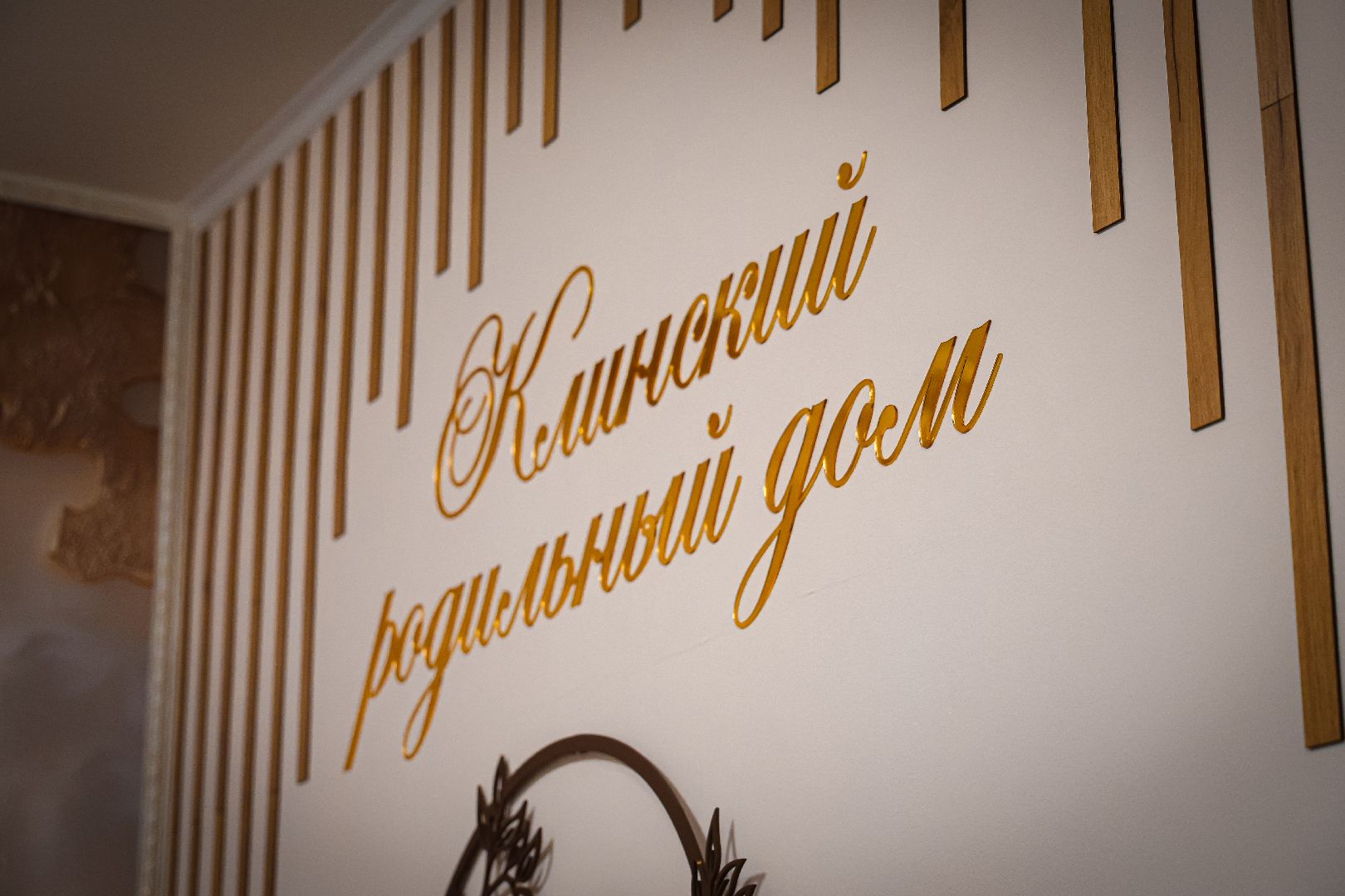 клин, общество, роддом, сво, медицина,