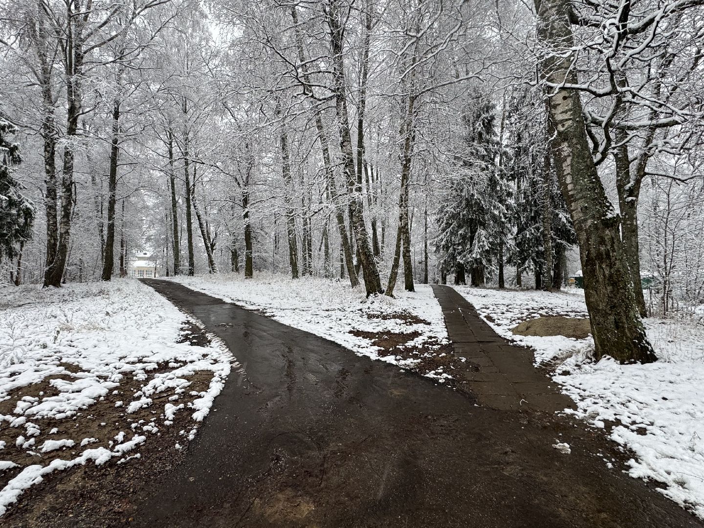 Пересвет , Сергиево-Посадский округ, снегопад ,