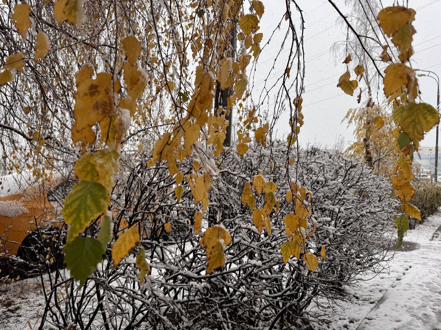 Первый снег, Одинцово, Одинцовское ДРСУ, Полная готовность ,