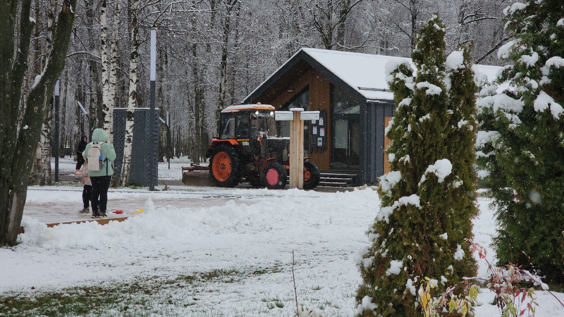 Снегопад, Уборка снега, Центральный парк Лобни , Лобня,
