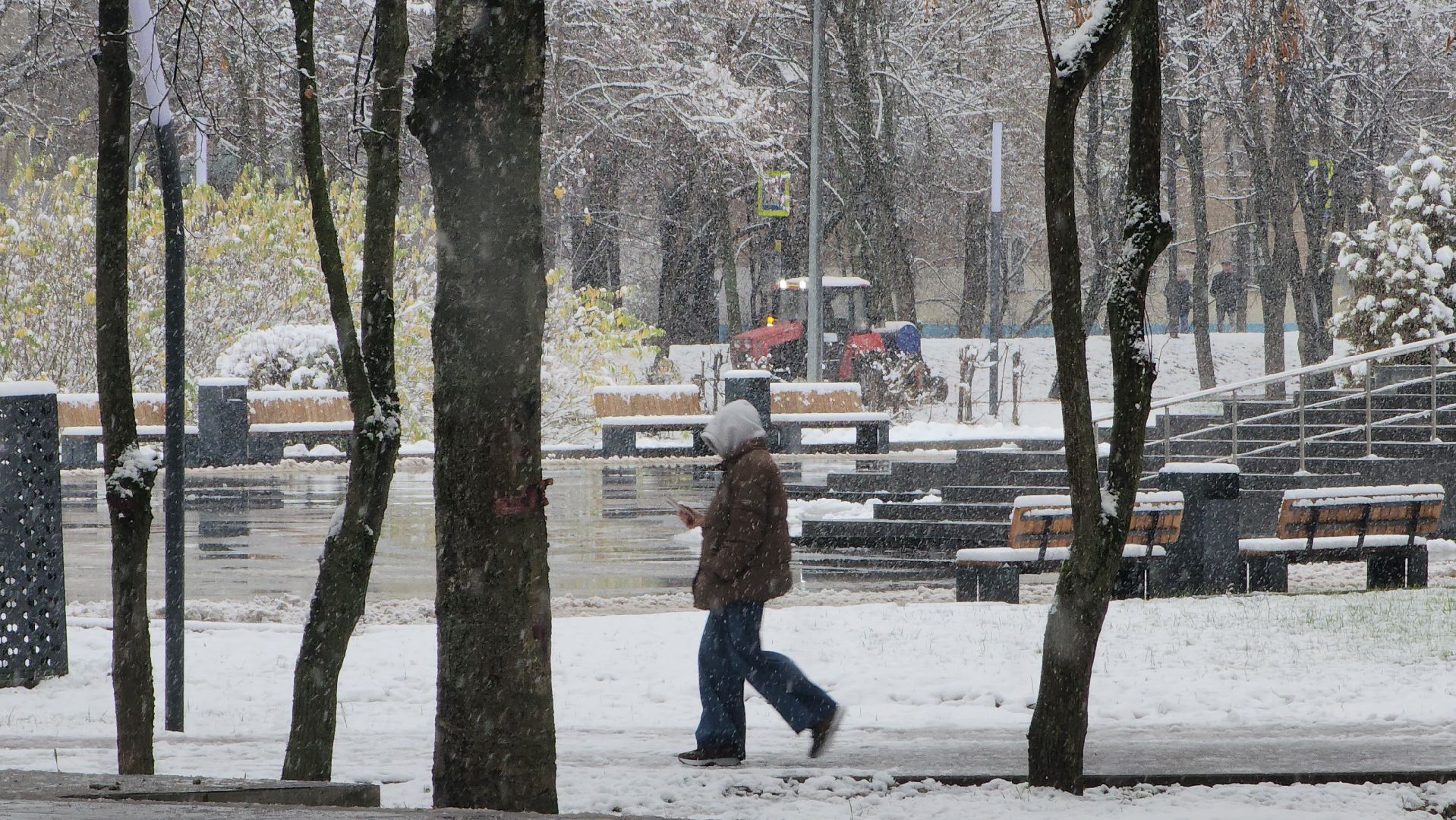 Снегопад, Уборка снега, Центральный парк Лобни , Лобня,