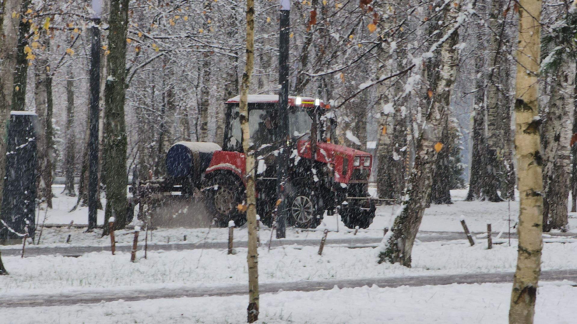 Снегопад, Уборка снега, Центральный парк Лобни , Лобня,
