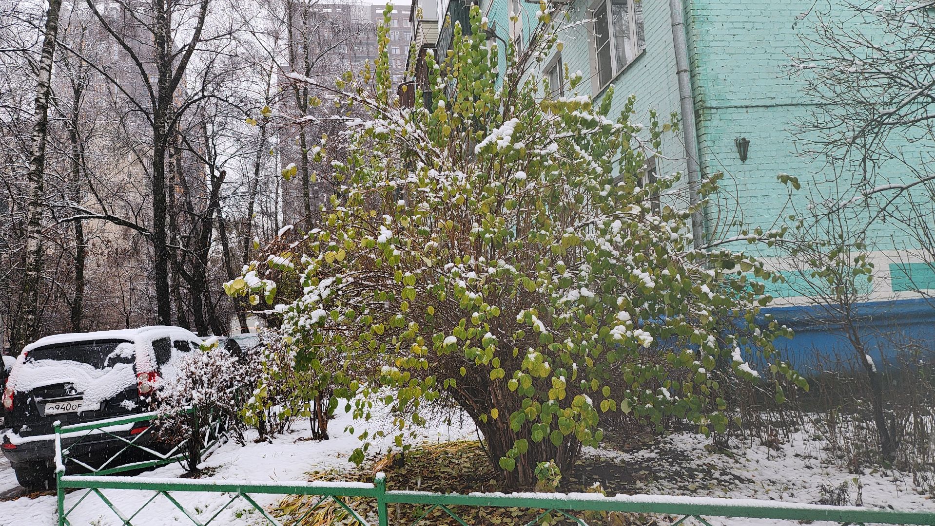 люберцы, комбинат по благоустройству, уборка снега,