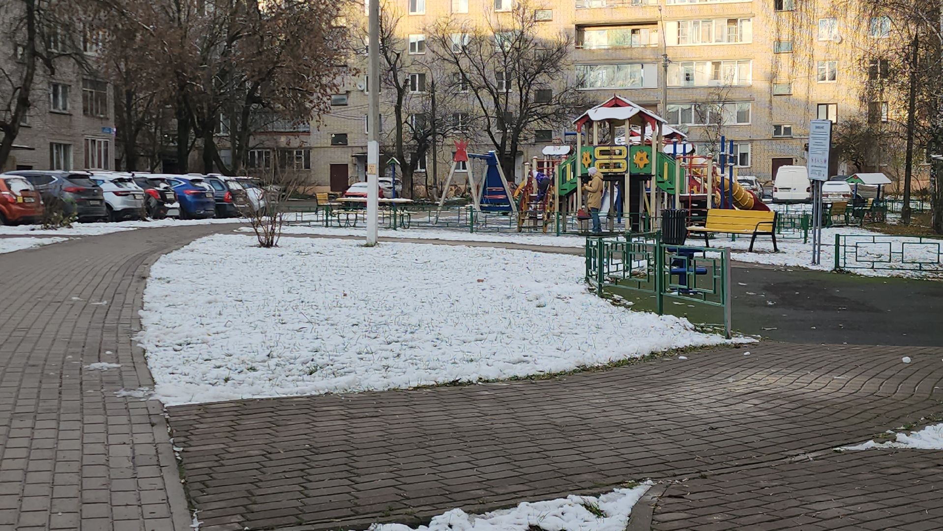 Истра , Снег, Уборка,