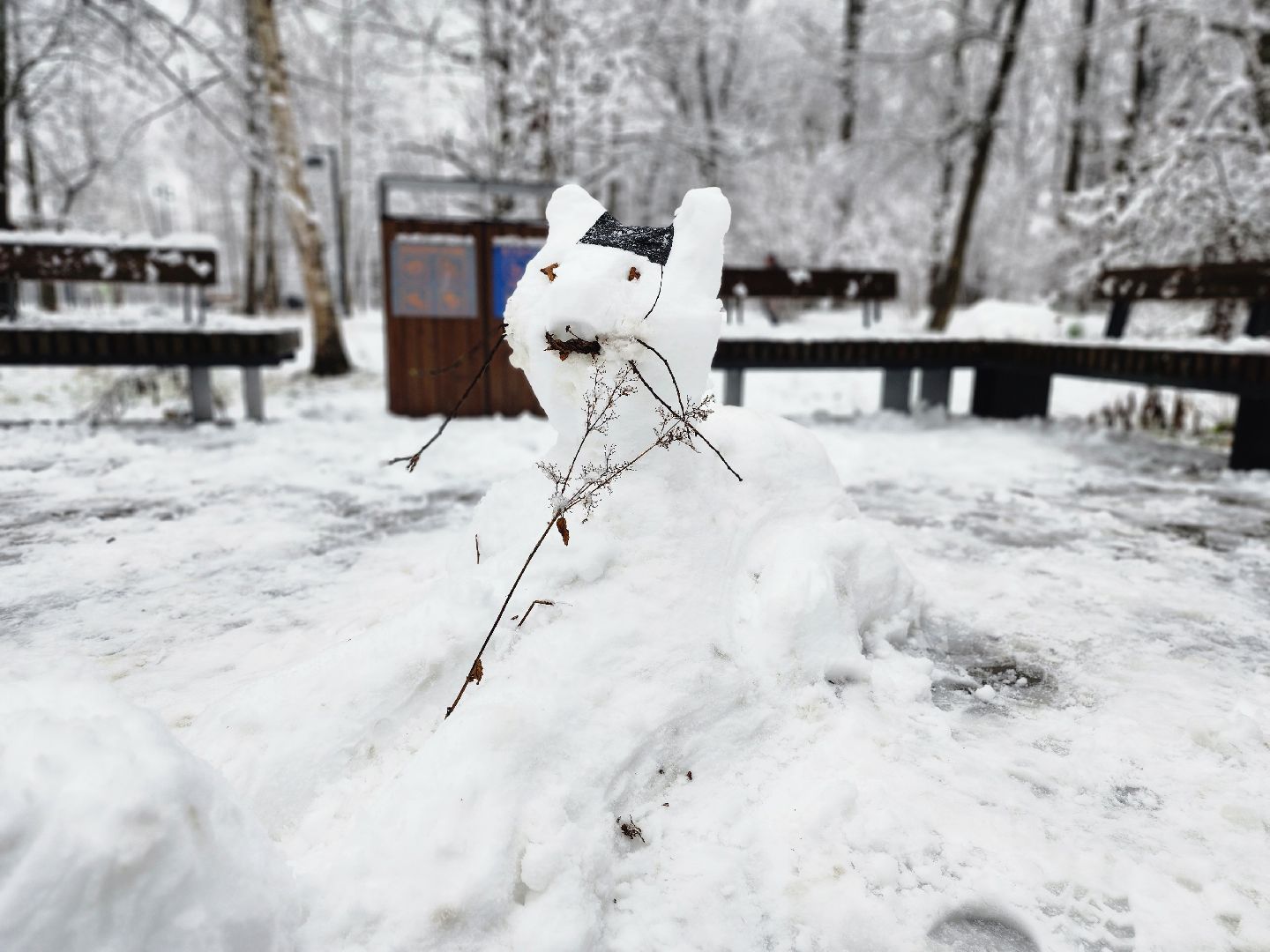 фрязино, снегопад, ликвидация последствий снегопада, снеговики, лесопарк, дворники,