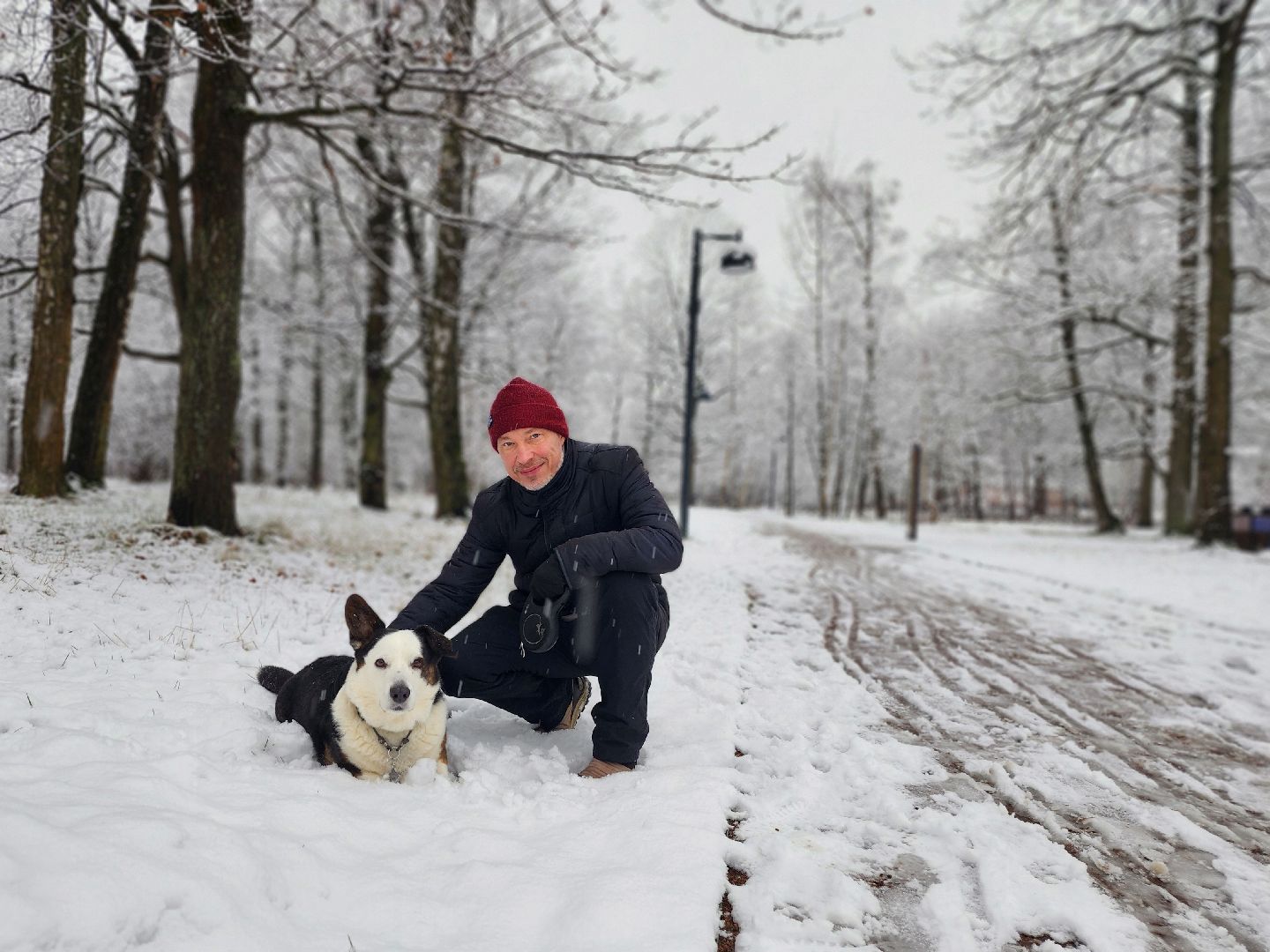 фрязино, снегопад, ликвидация последствий снегопада, снеговики, лесопарк, дворники,