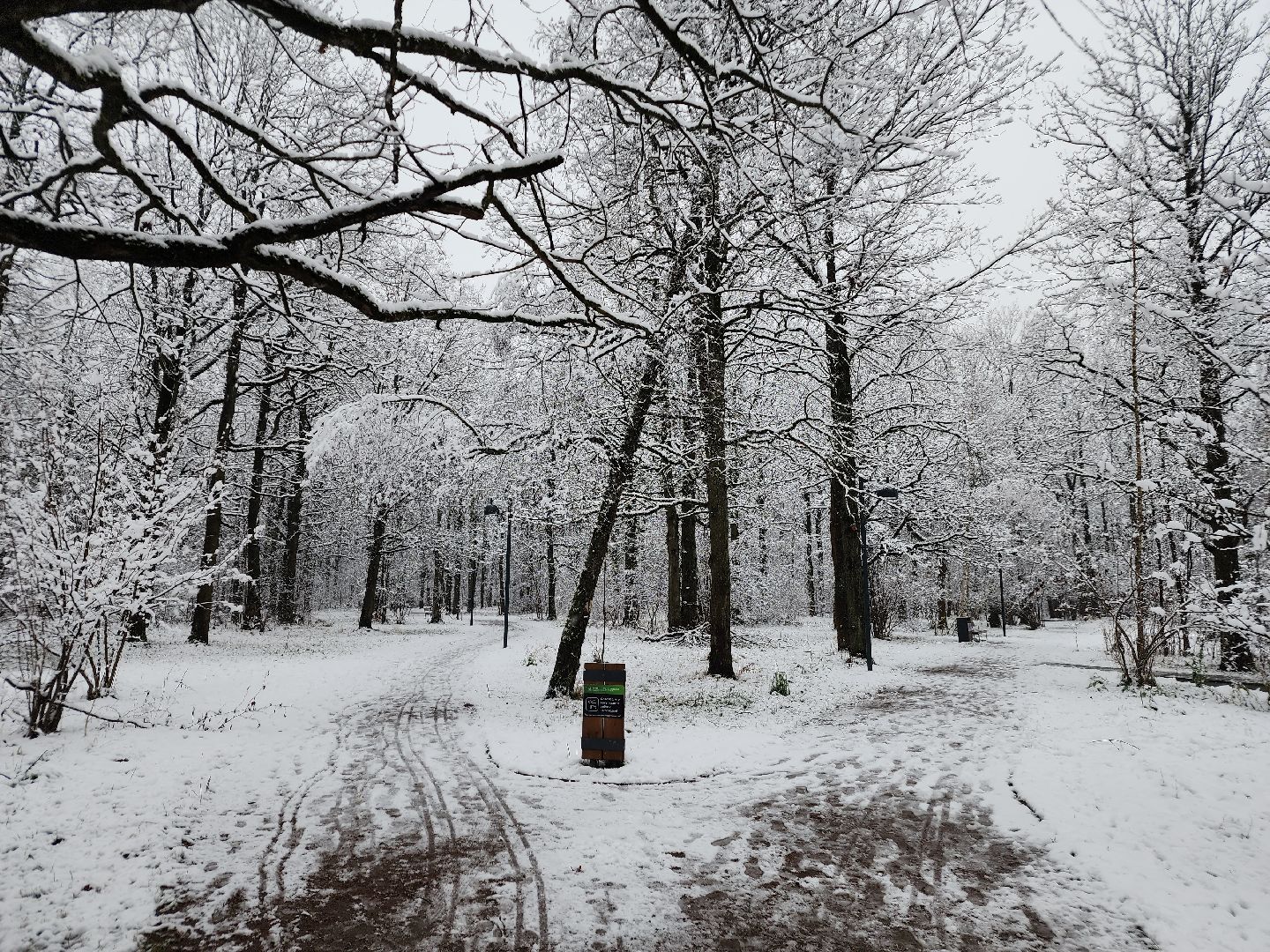 фрязино, снегопад, ликвидация последствий снегопада, снеговики, лесопарк, дворники,
