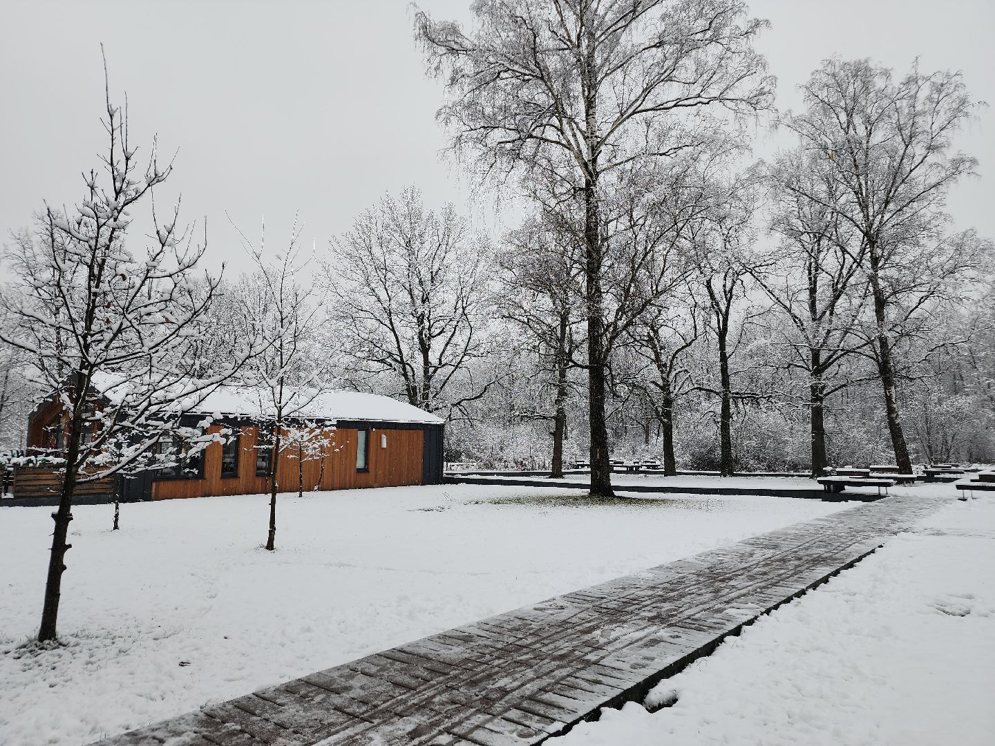 фрязино, снегопад, ликвидация последствий снегопада, снеговики, лесопарк, дворники,