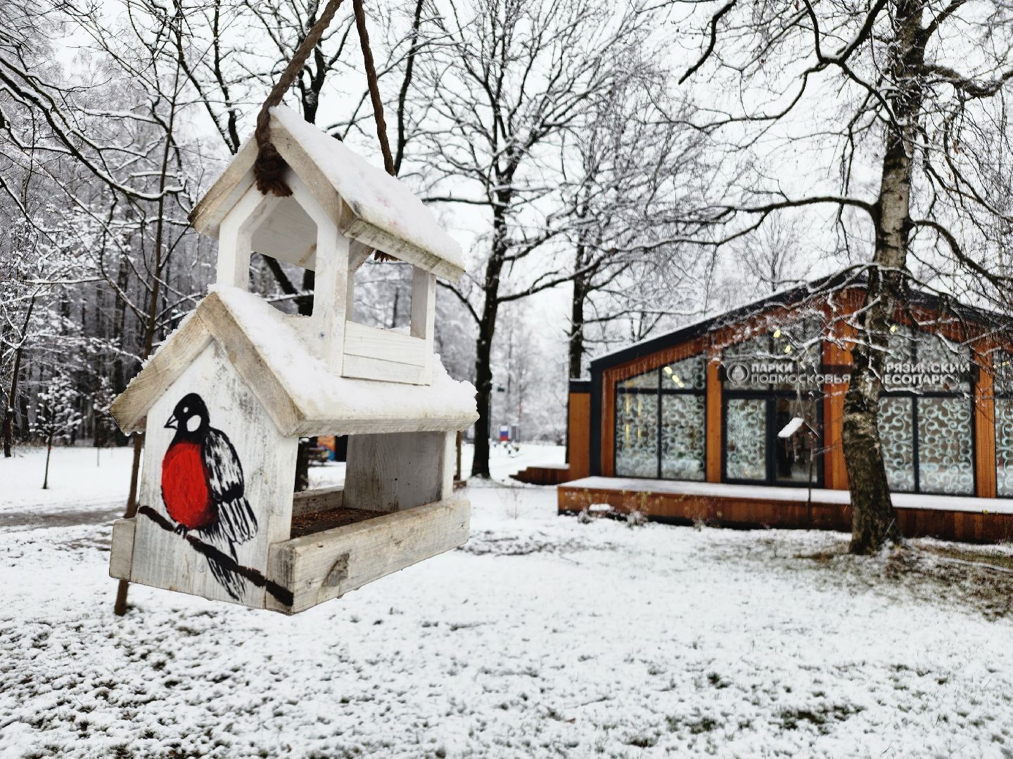 фрязино, снегопад, ликвидация последствий снегопада, снеговики, лесопарк, дворники,