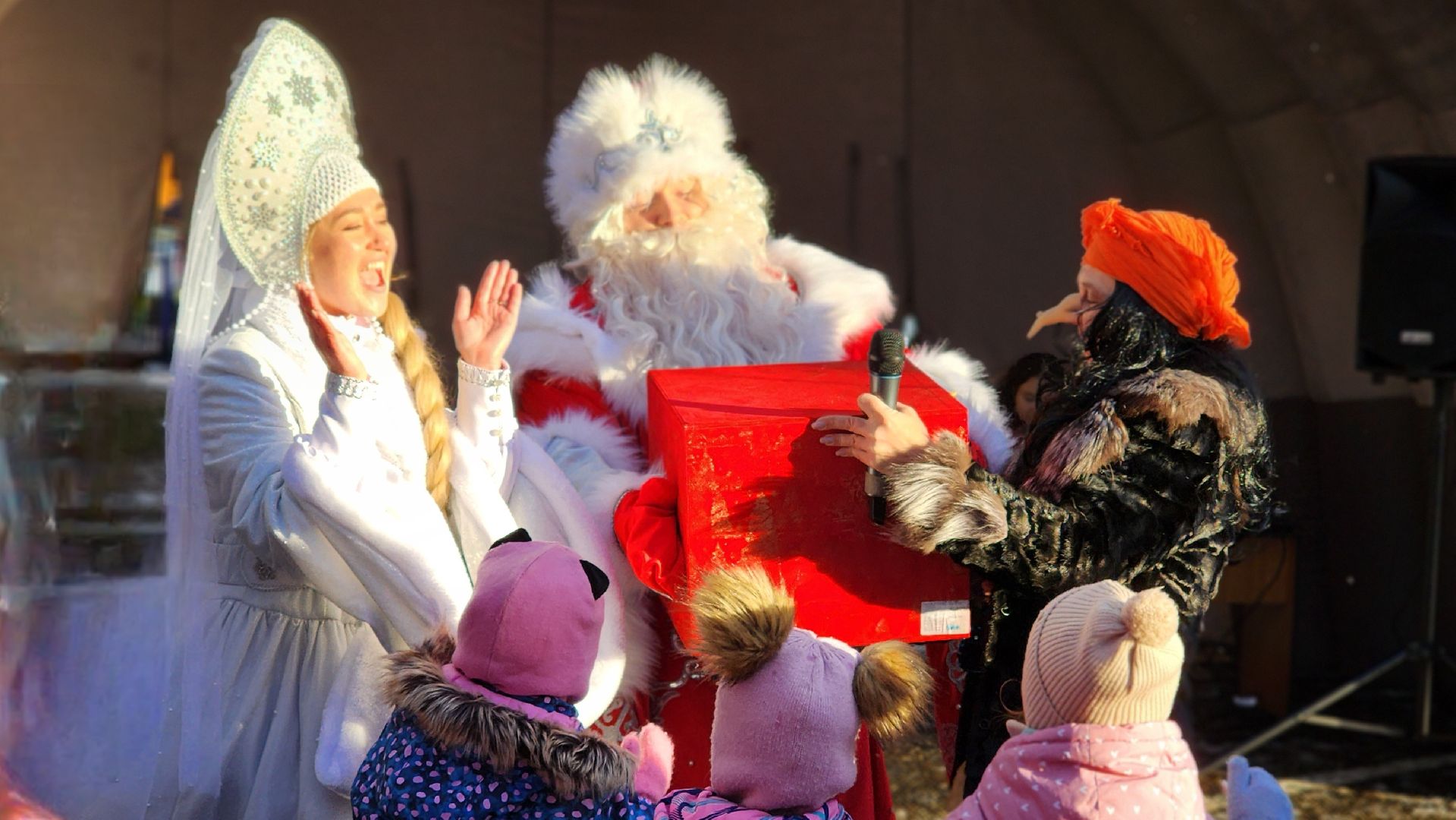 Руза, парк городок, день рождения деда мороза,